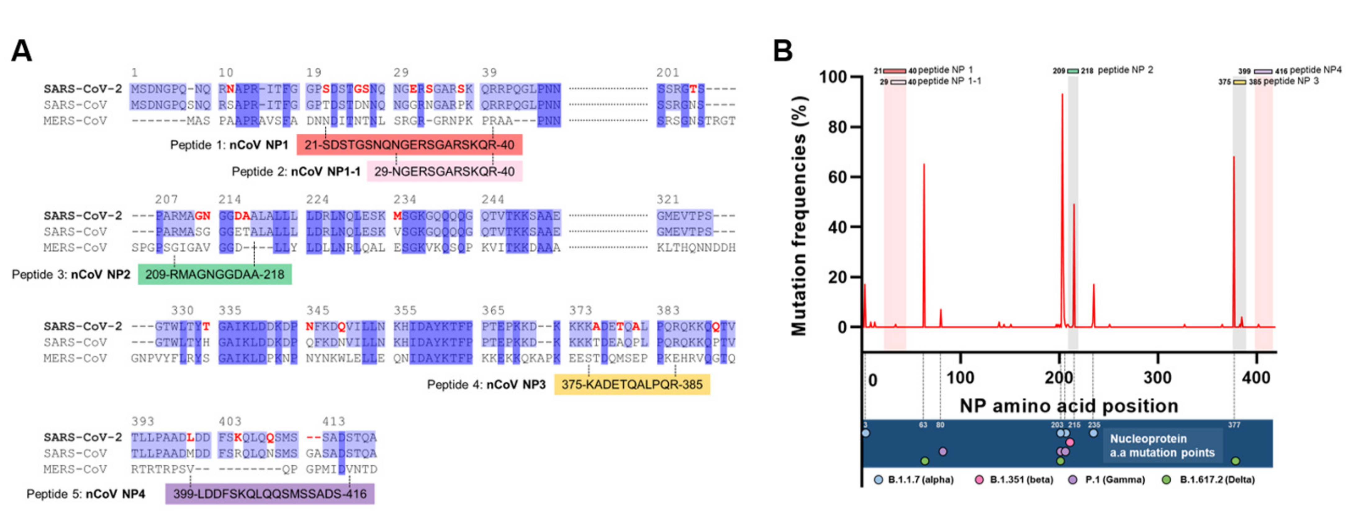 Viruses 14 00255 g001 550