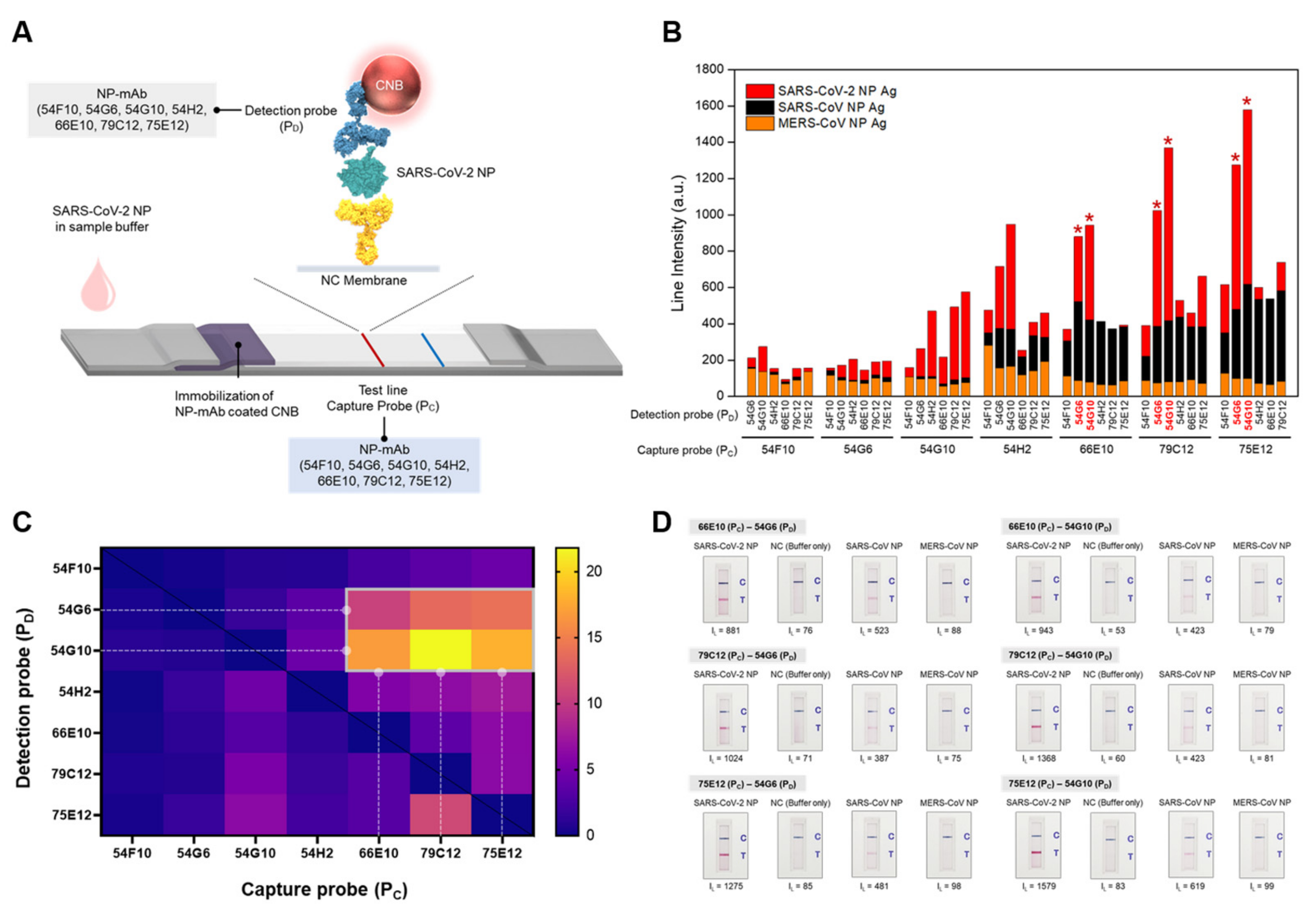 Viruses 14 00255 g003 550