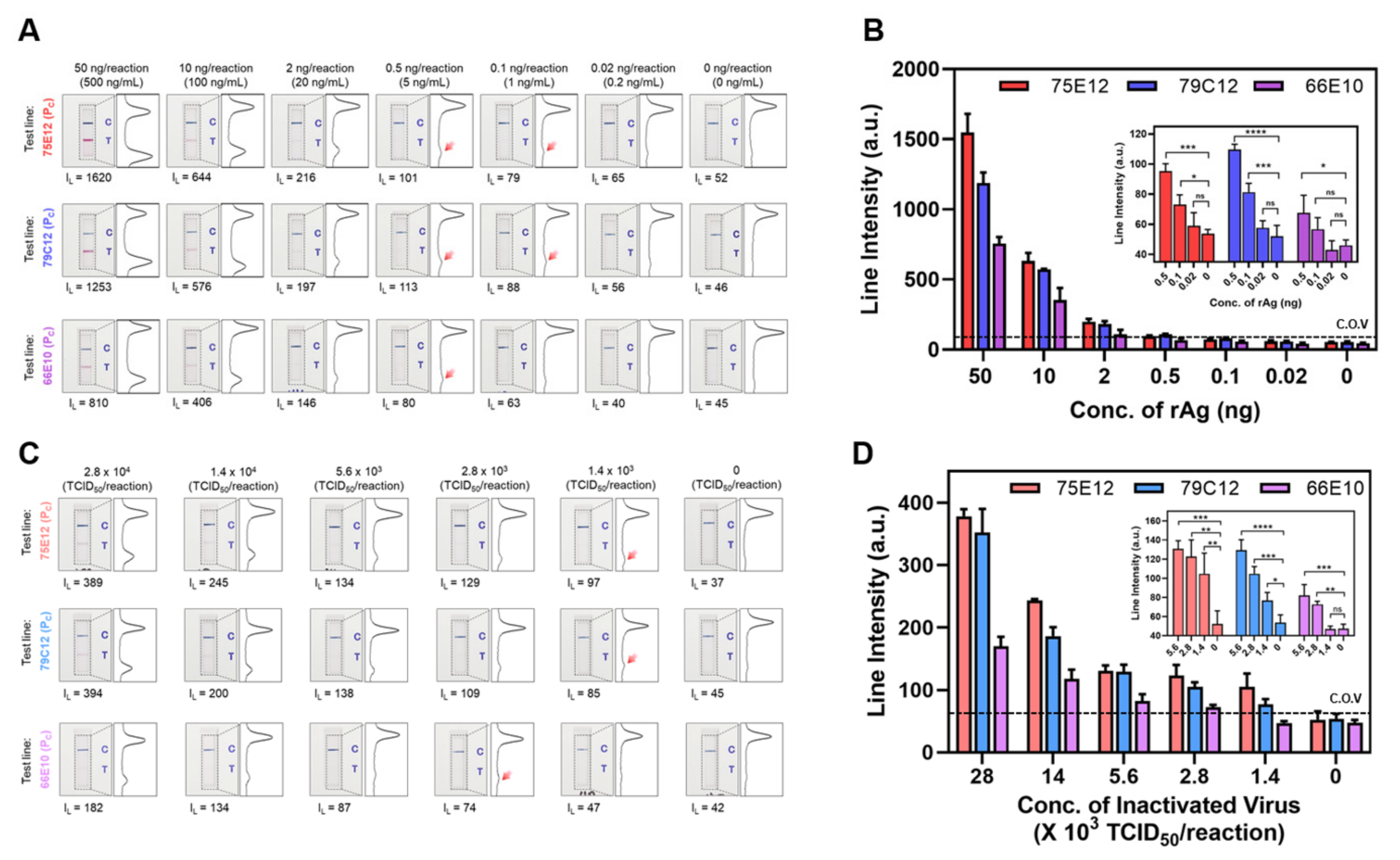 Viruses 14 00255 g004 550