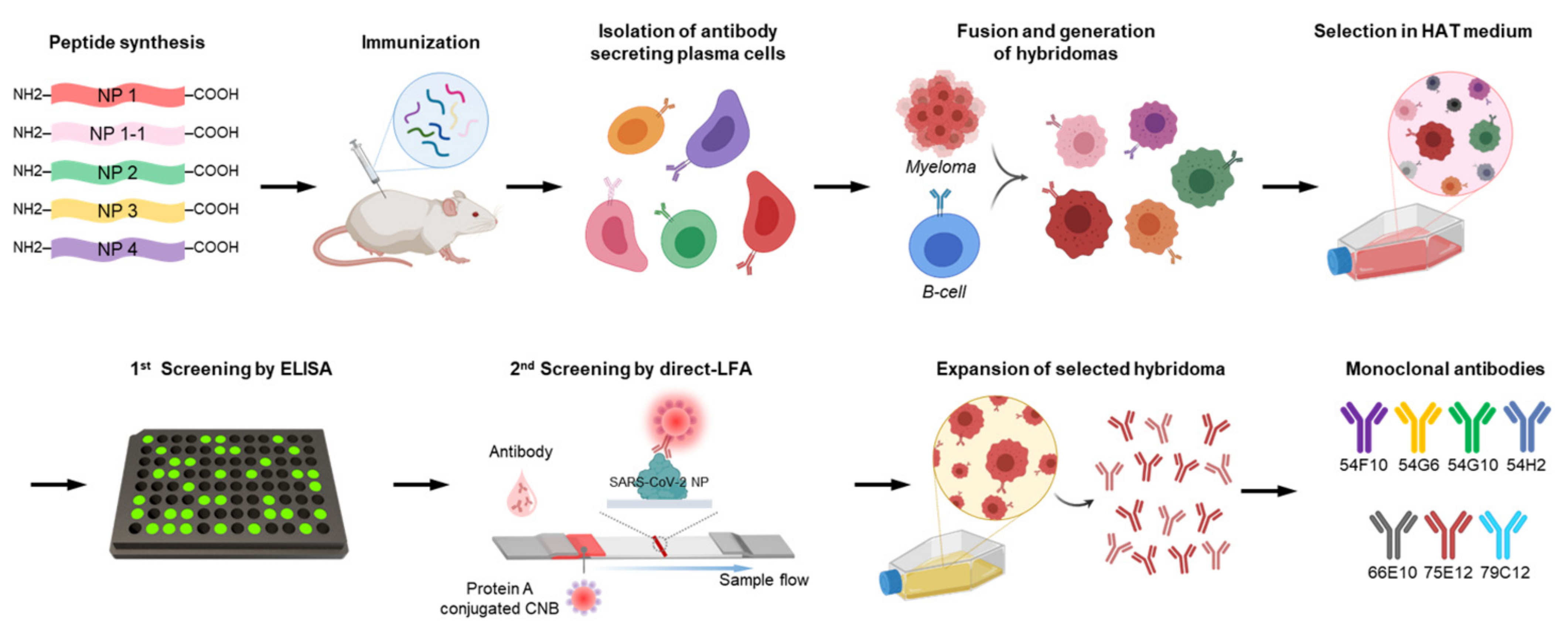 Viruses 14 00255 sch002 550