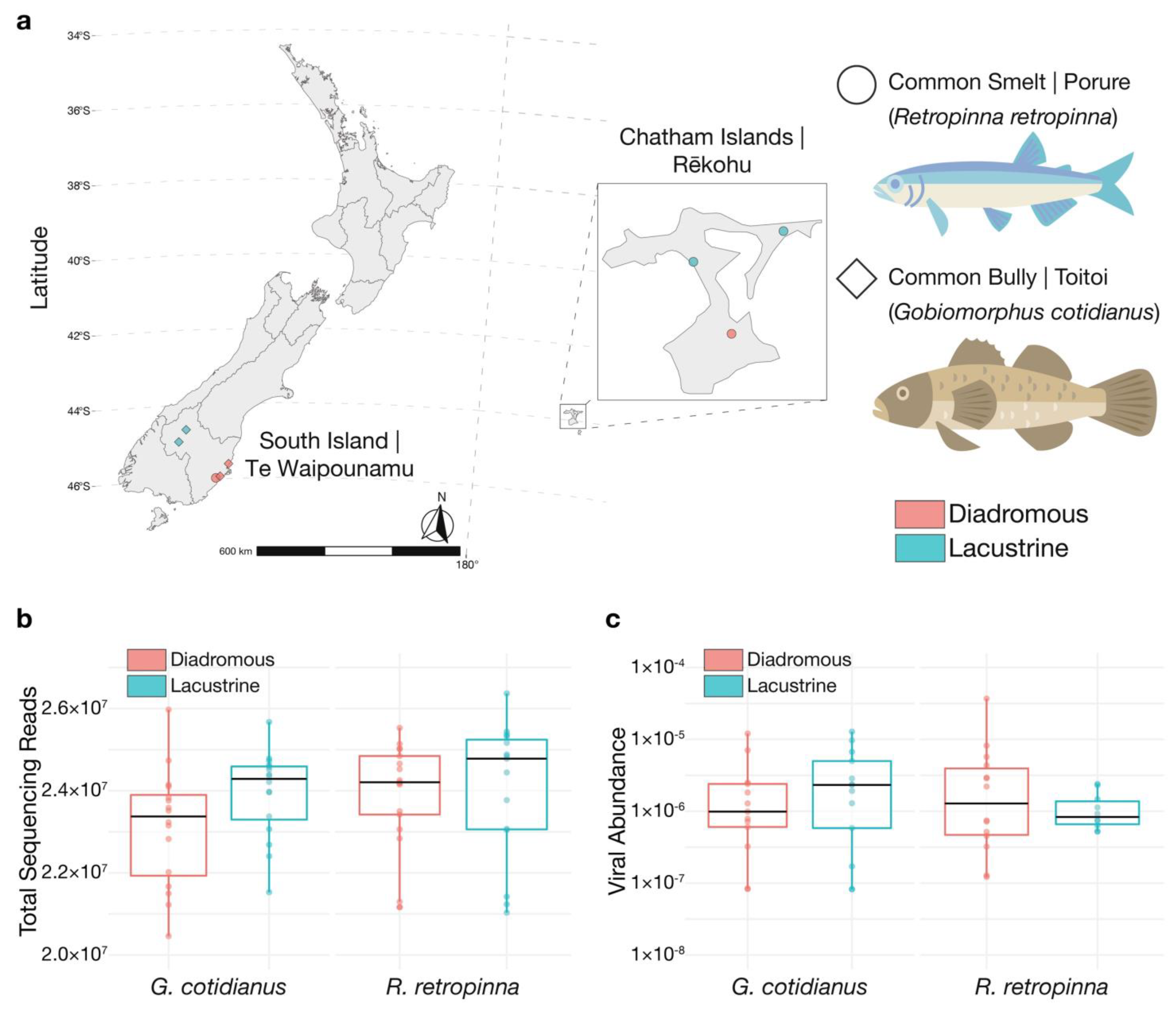 Scientists Discover 319-Million-Year-Old Fossilized Fish Brain - Frost  Science