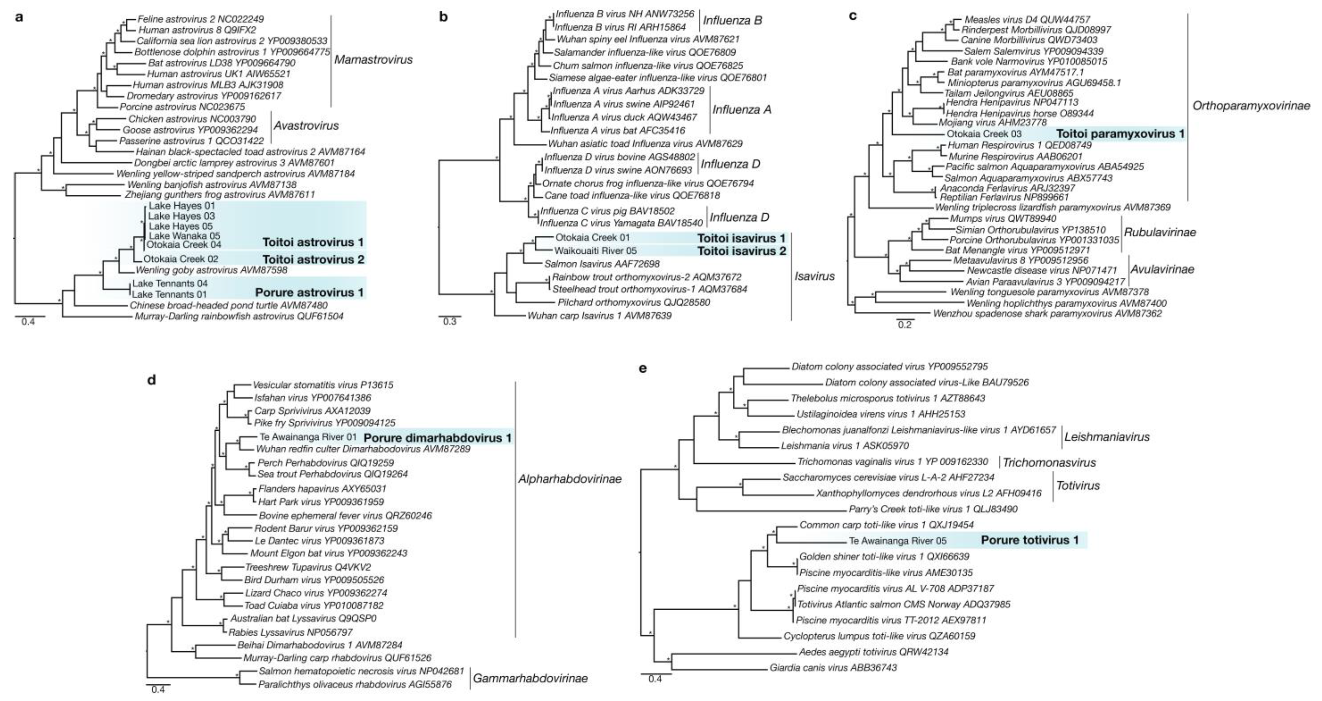 Viruses 14 00257 g002 Viruses 14 00257 g002