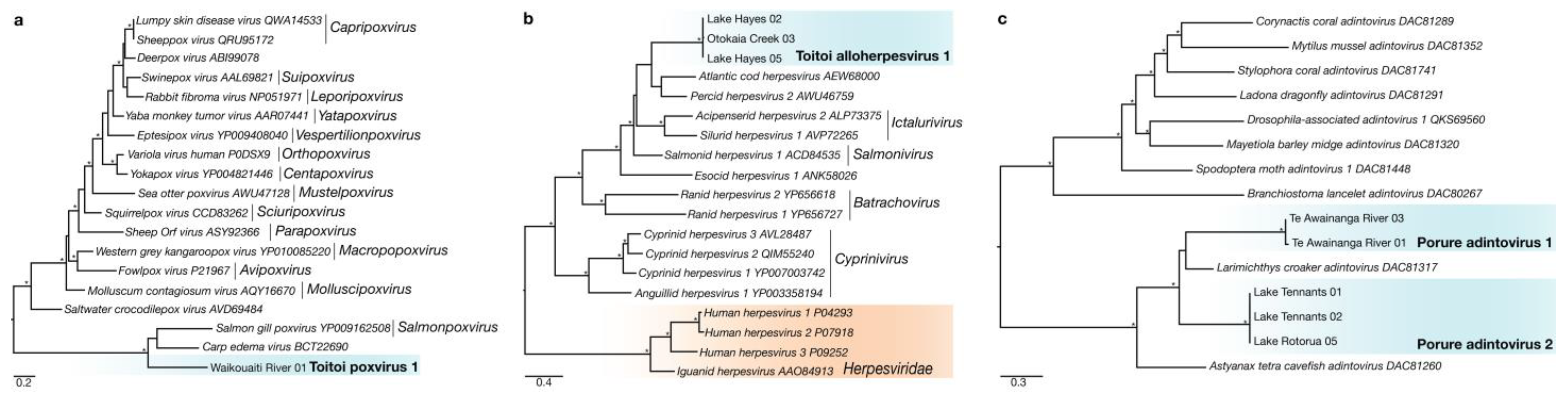 Viruses 14 00257 g003 Viruses 14 00257 g003