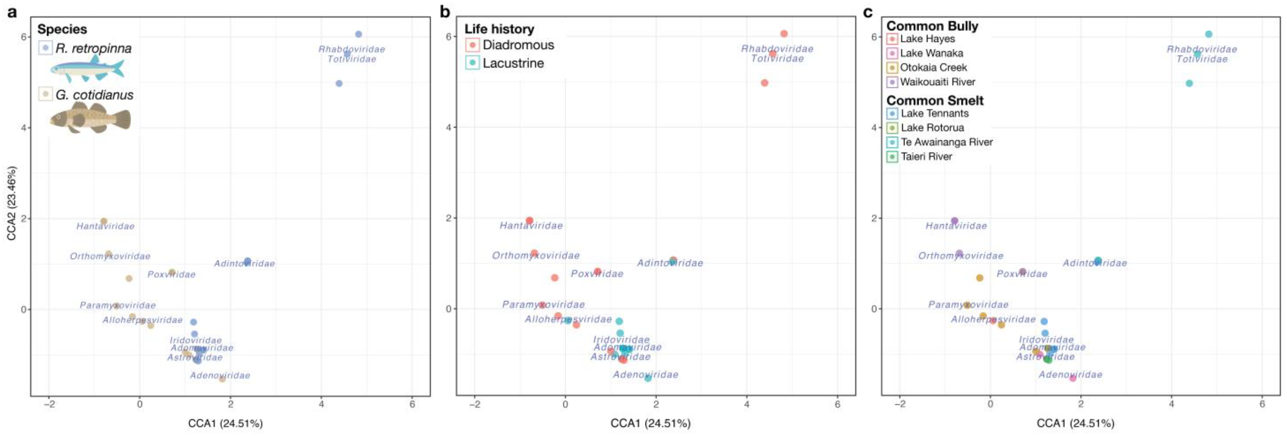 Viruses 14 00257 g006 Viruses 14 00257 g006