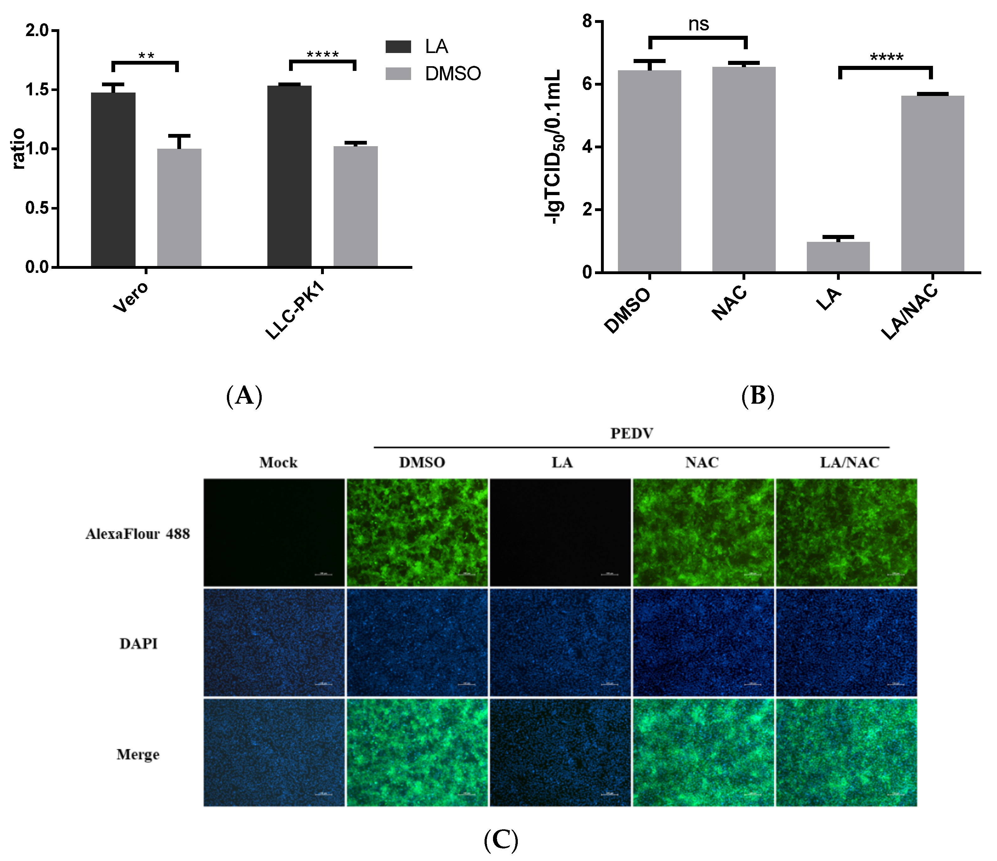 Viruses 14 00258 g005