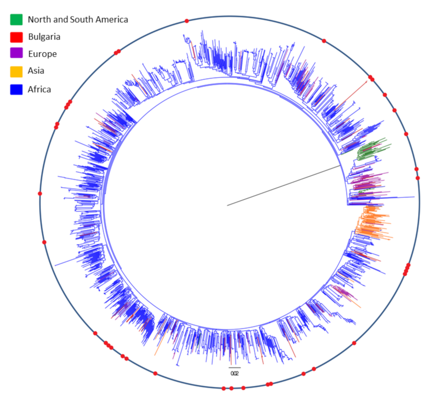 Viruses 14 00263 g002 Viruses 14 00263 g002