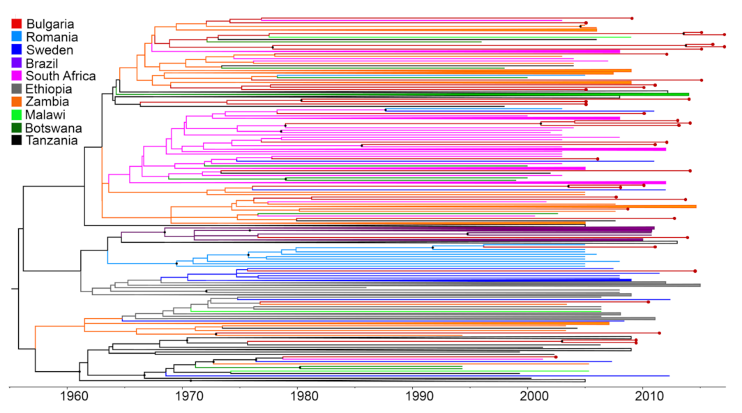 Viruses 14 00263 g003 Viruses 14 00263 g003