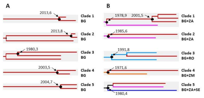Viruses 14 00263 g004 Viruses 14 00263 g004