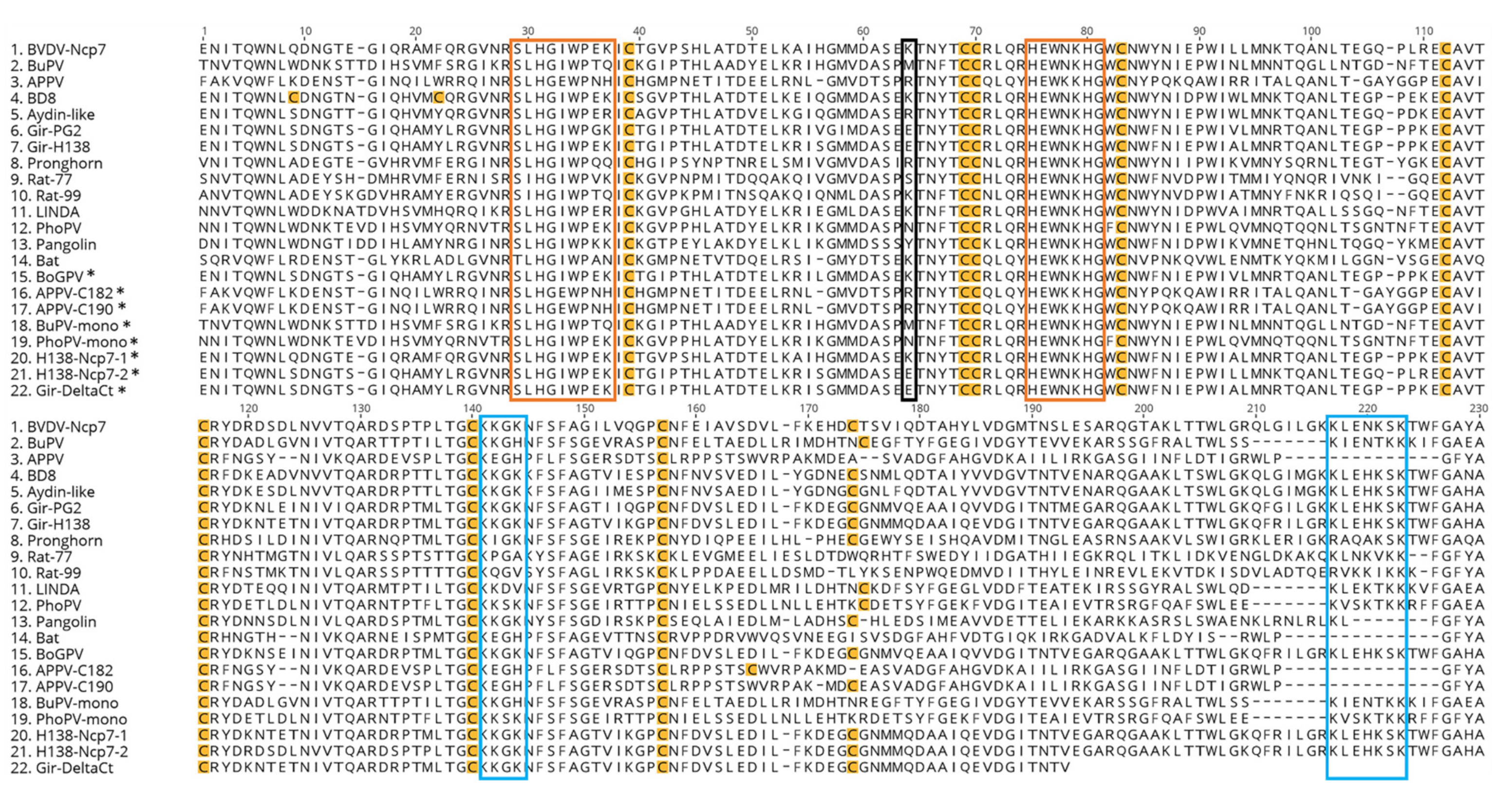 Viruses 14 00265 g001