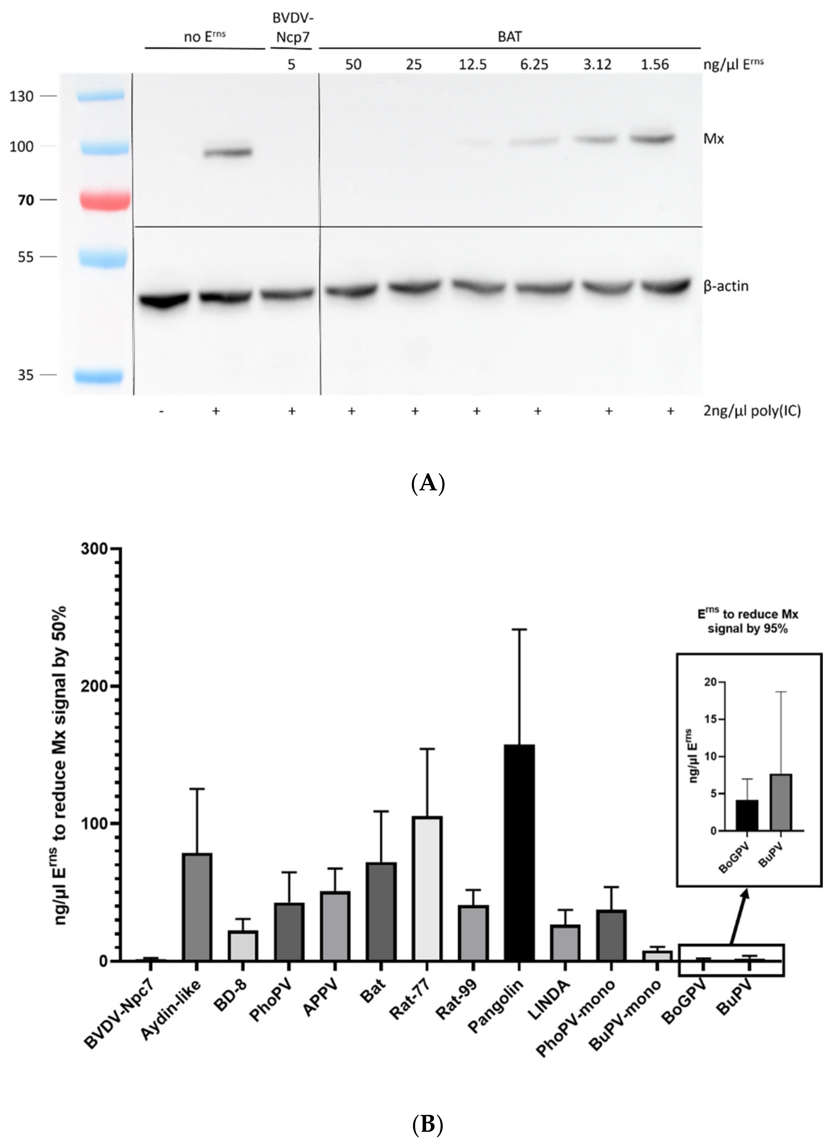 Viruses 14 00265 g005