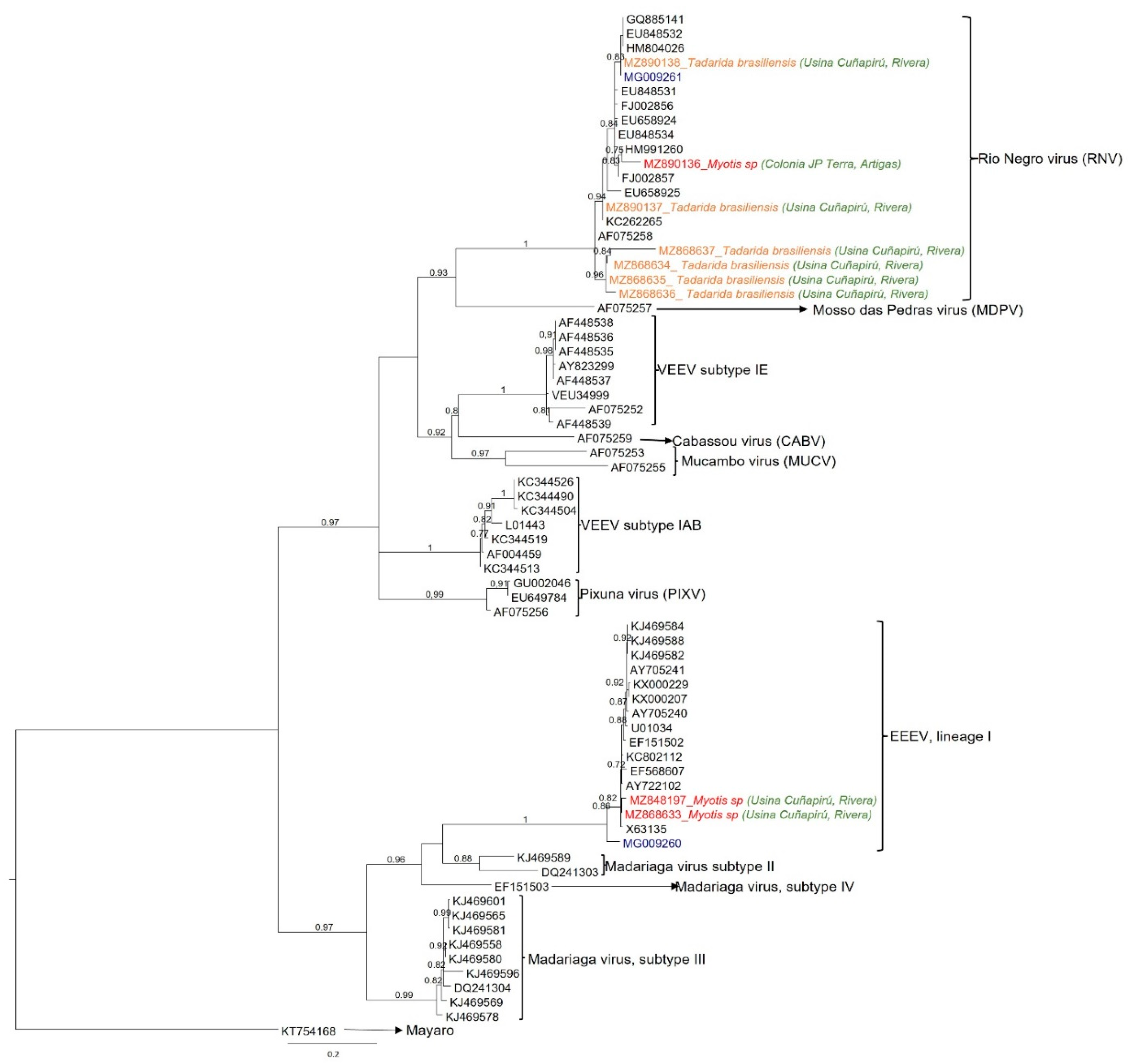 Viruses 14 00269 g002
