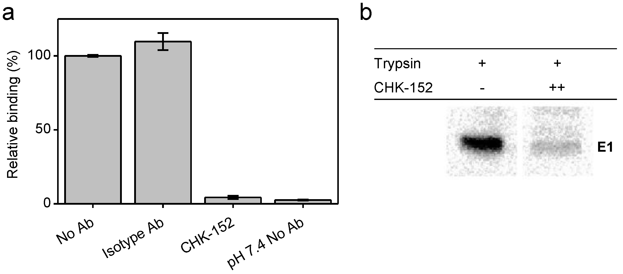Viruses 14 00270 g002