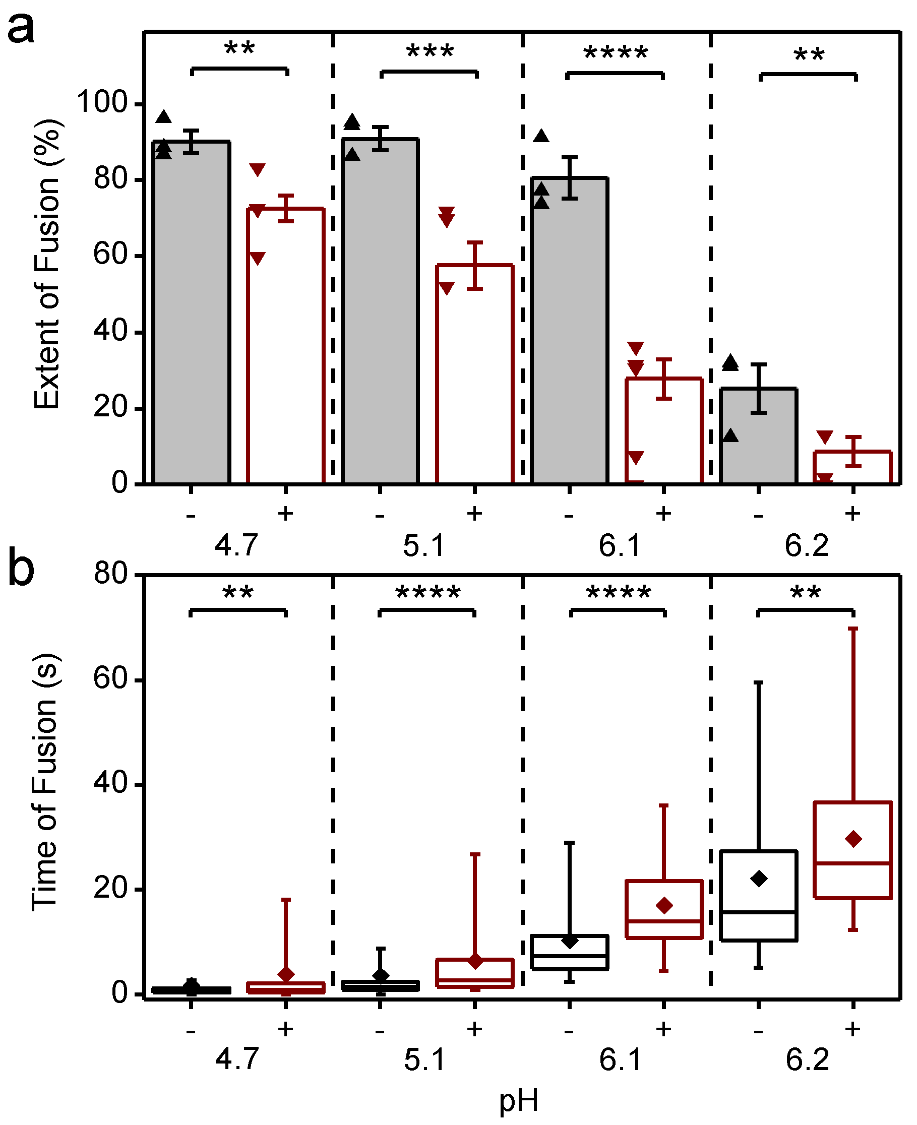 Viruses 14 00270 g004