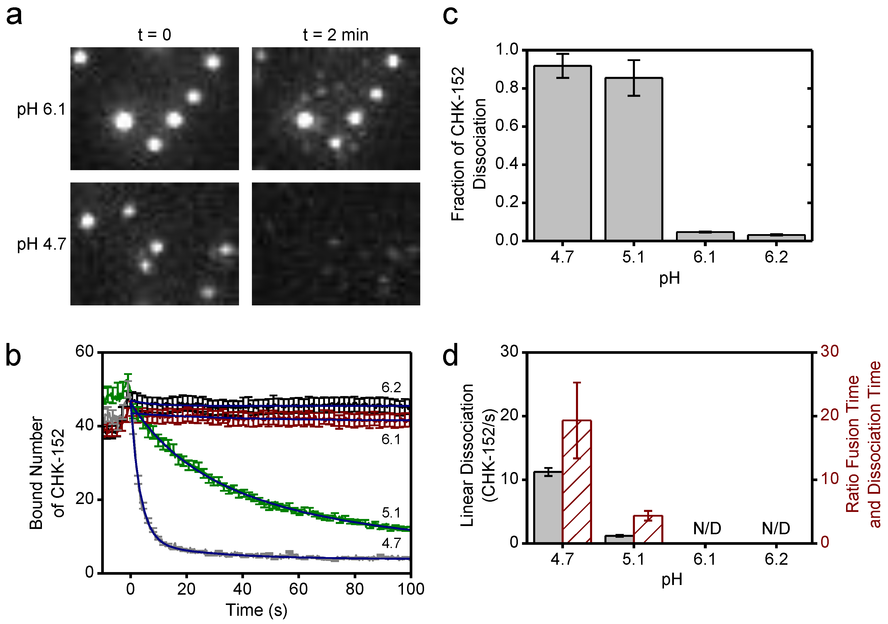 Viruses 14 00270 g005