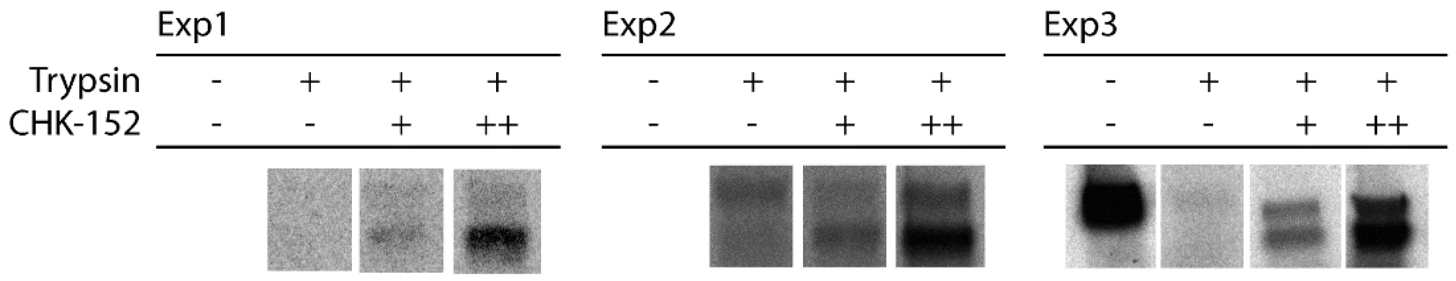 Viruses 14 00270 g0a13