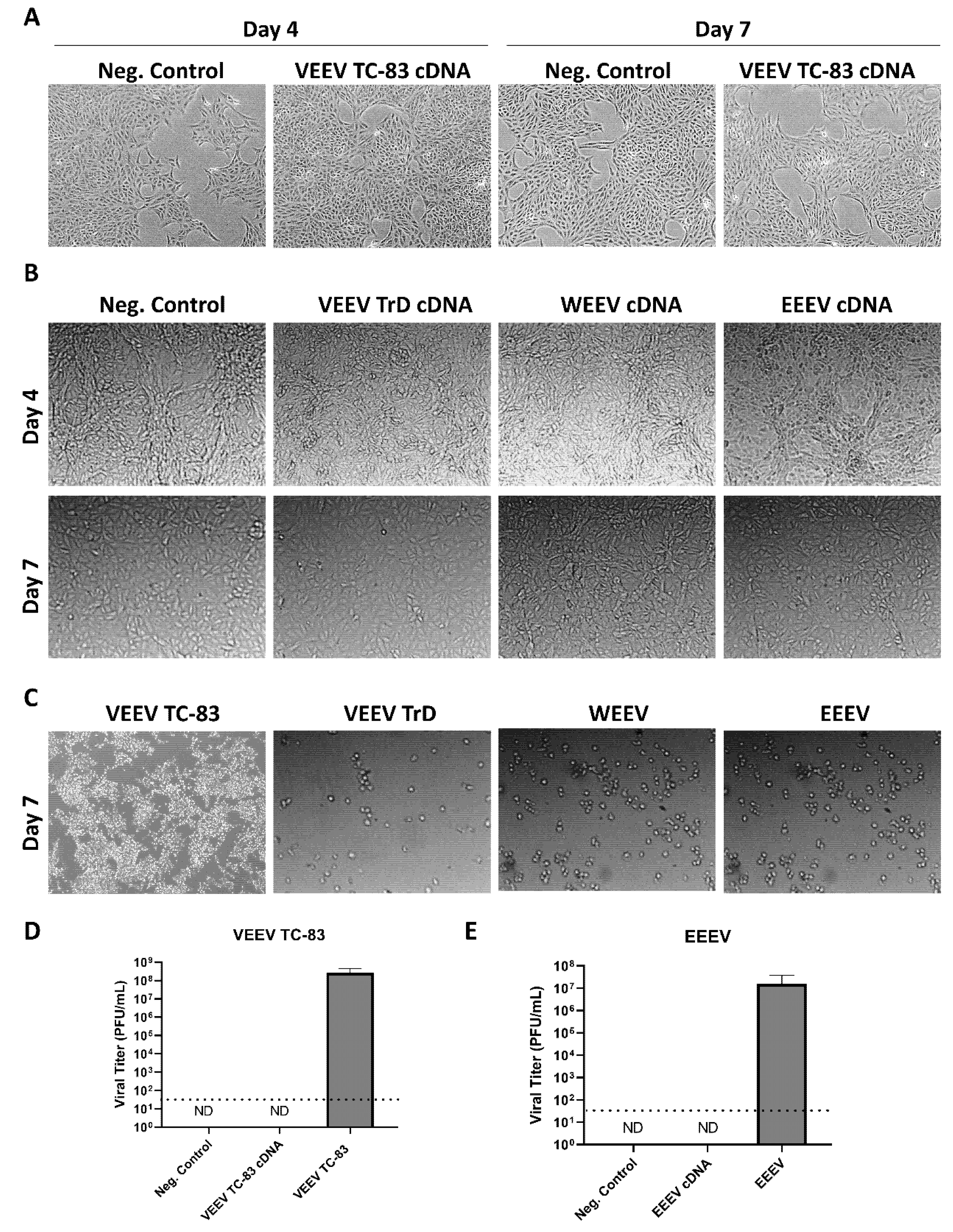 Viruses 14 00272 g006 550
