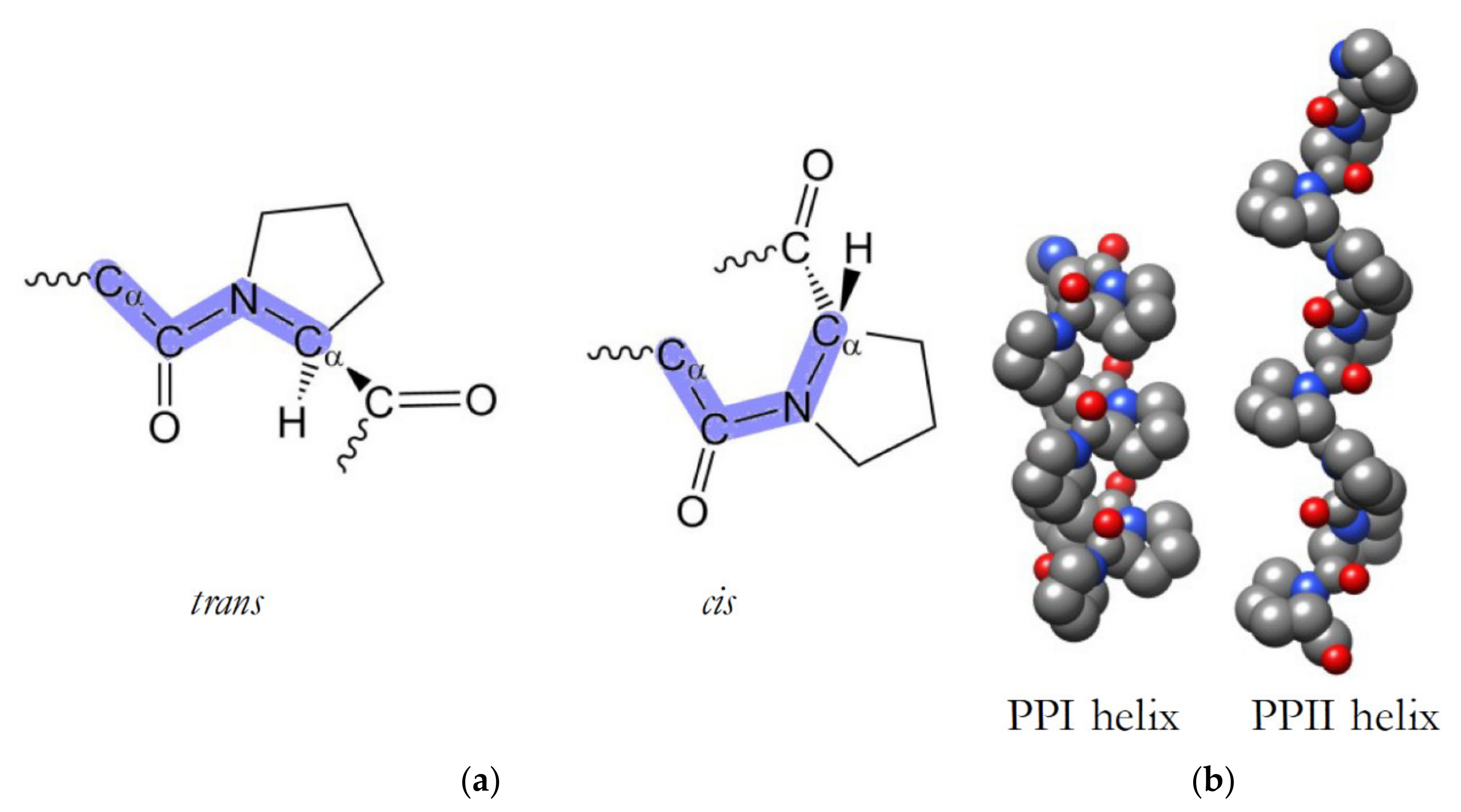 Viruses 14 00281 g001 Viruses 14 00281 g001