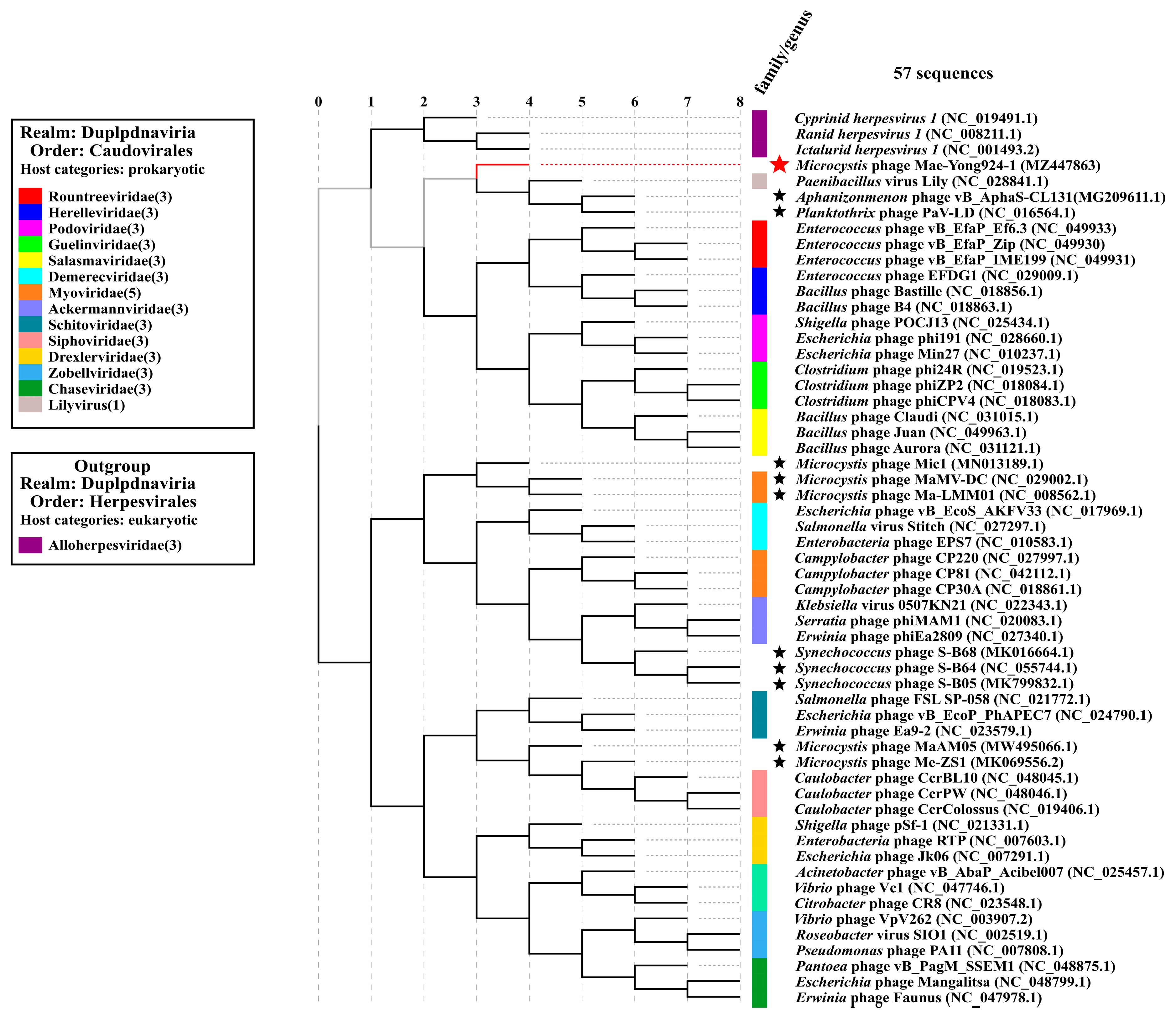Viruses 14 00283 g004