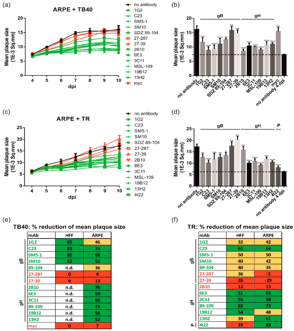 Viruses 14 00284 g004