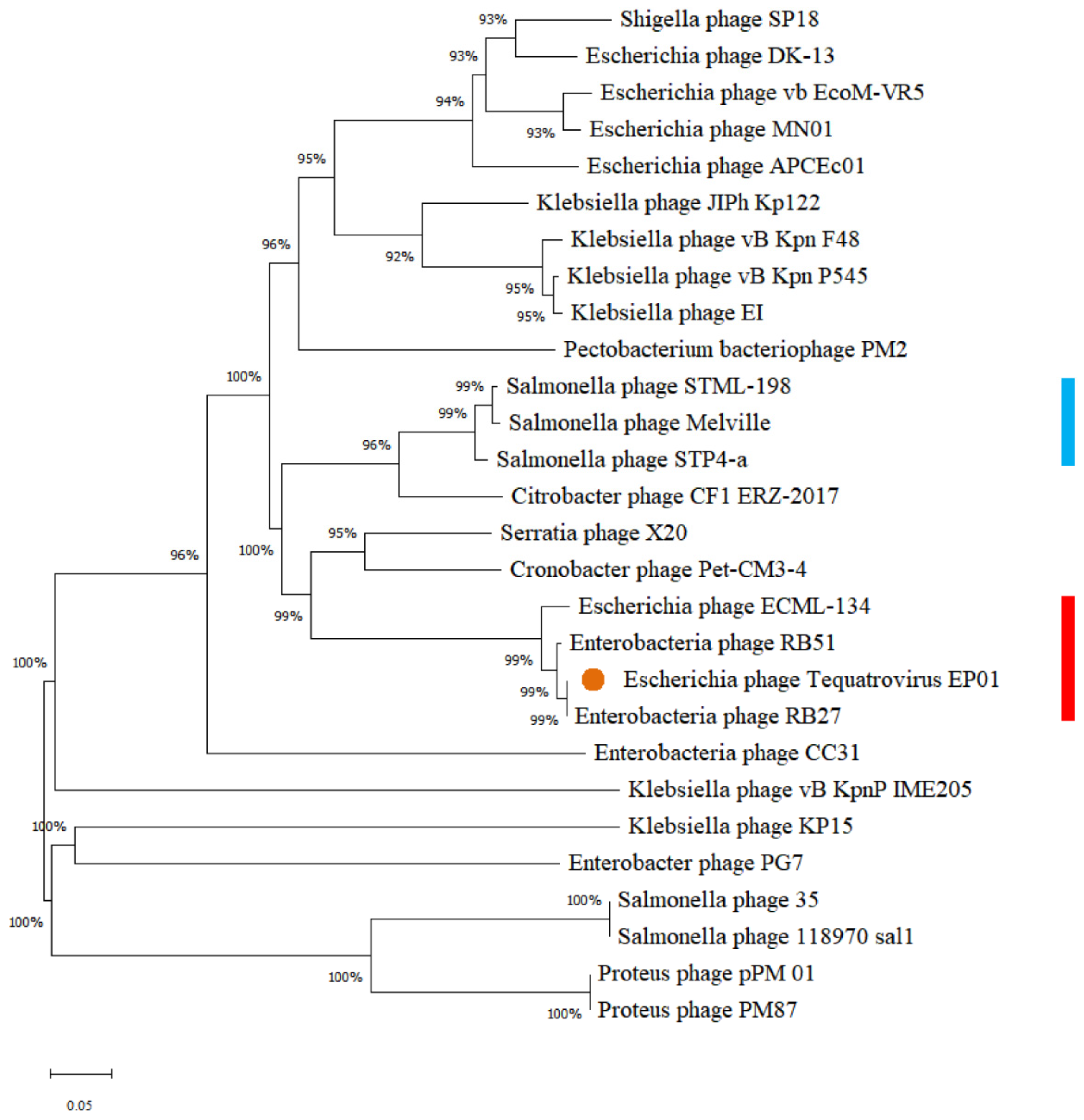 Viruses 14 00286 g004