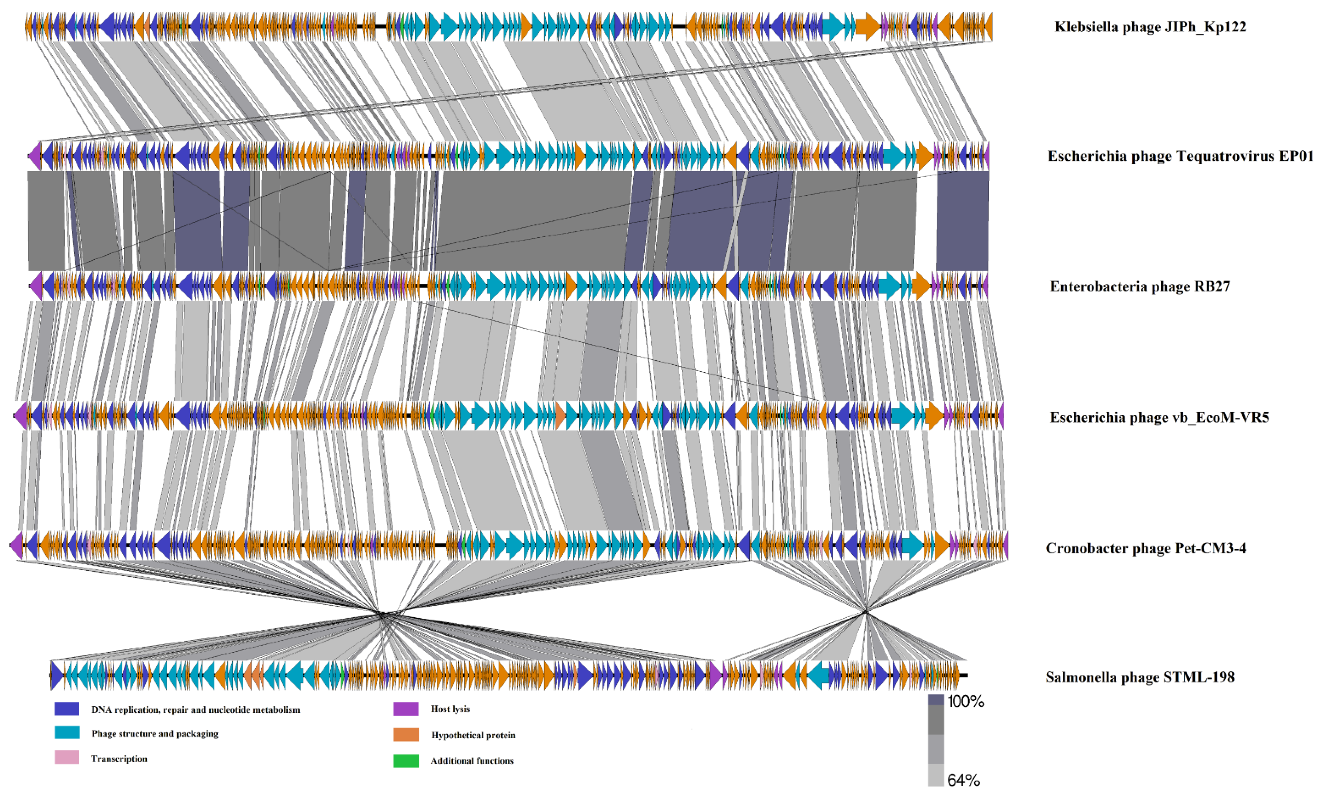 Viruses 14 00286 g005