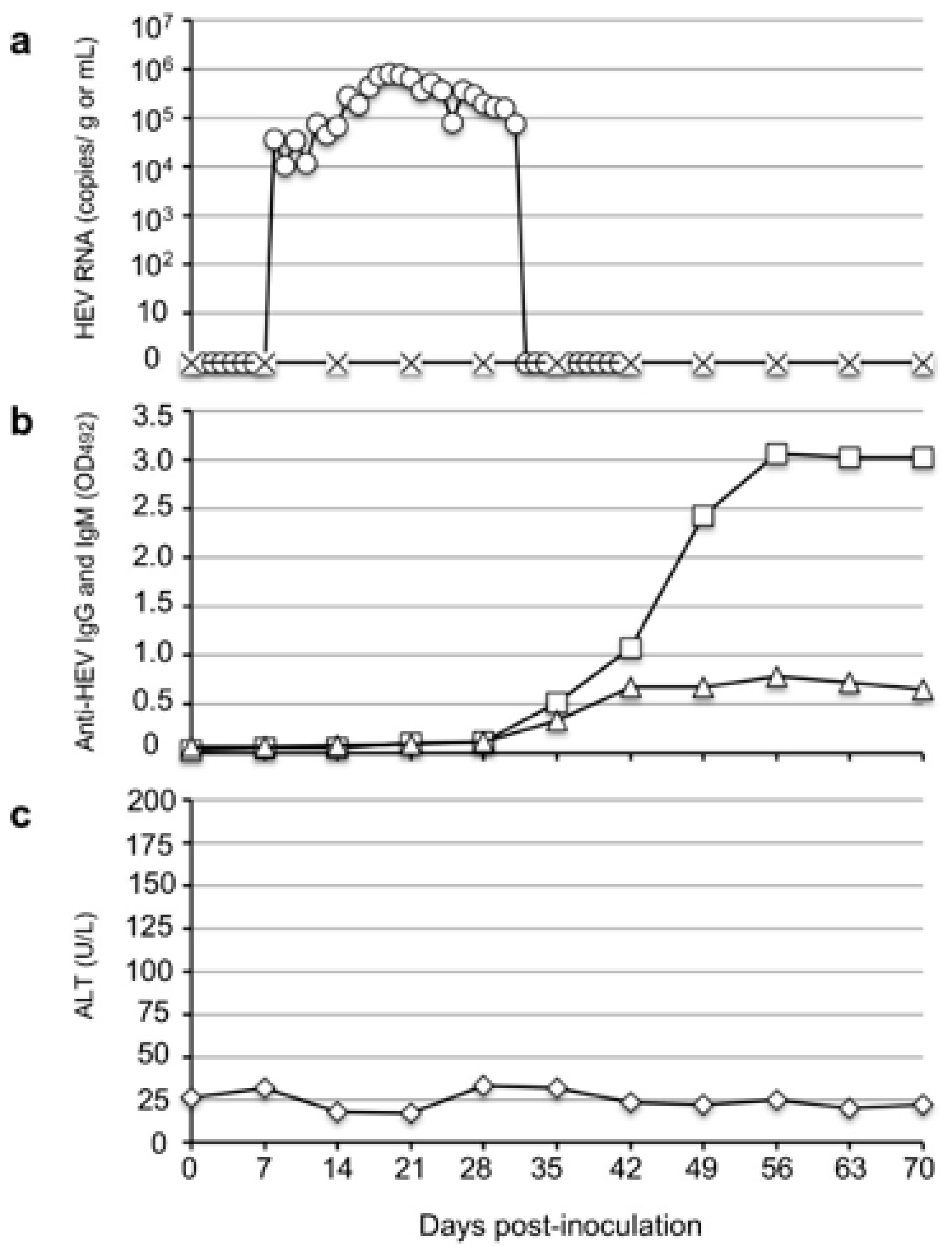 Viruses 14 00293 g001