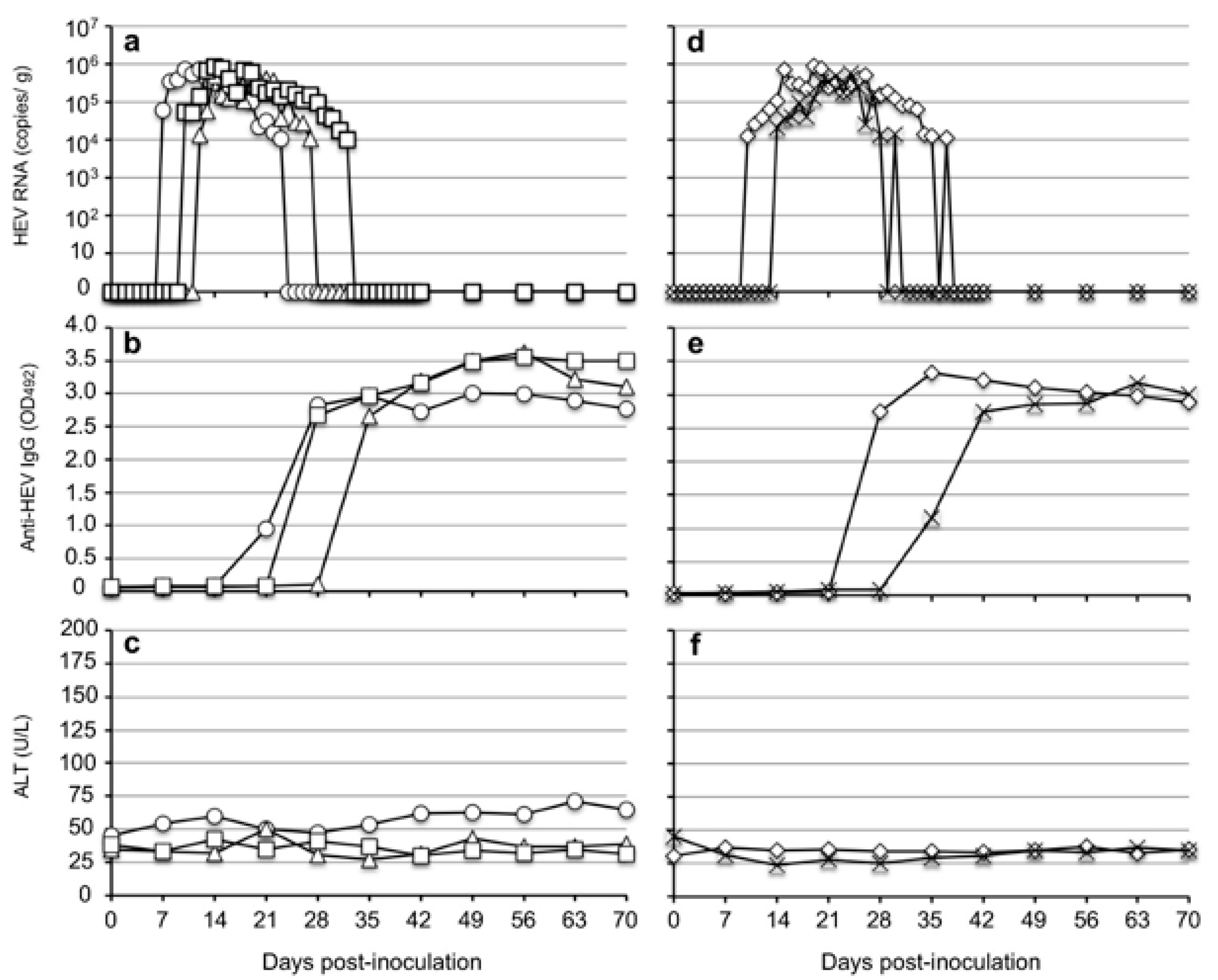 Viruses 14 00293 g003