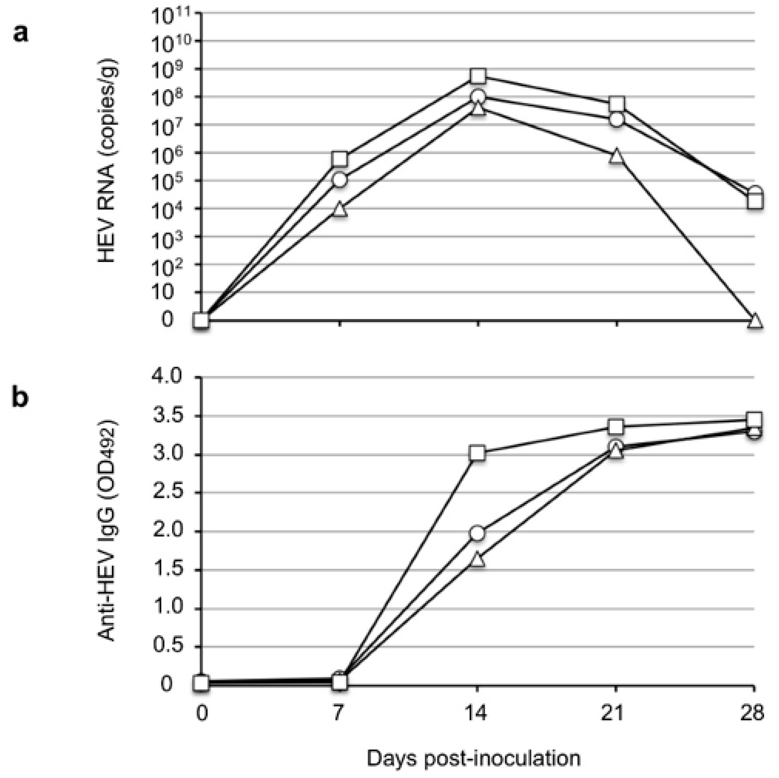 Viruses 14 00293 g004