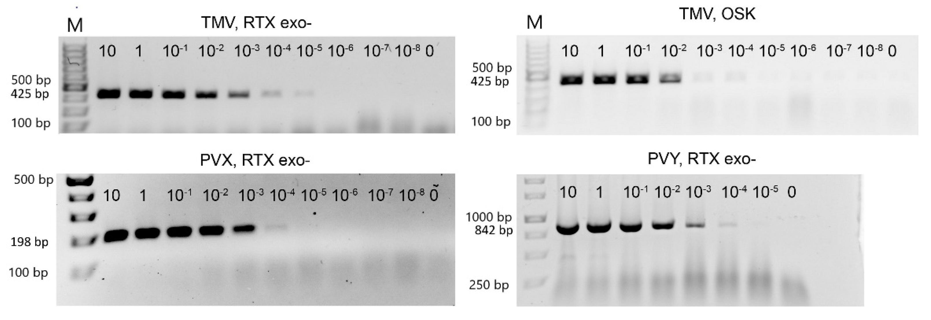 Viruses 14 00298 g002 Viruses 14 00298 g002