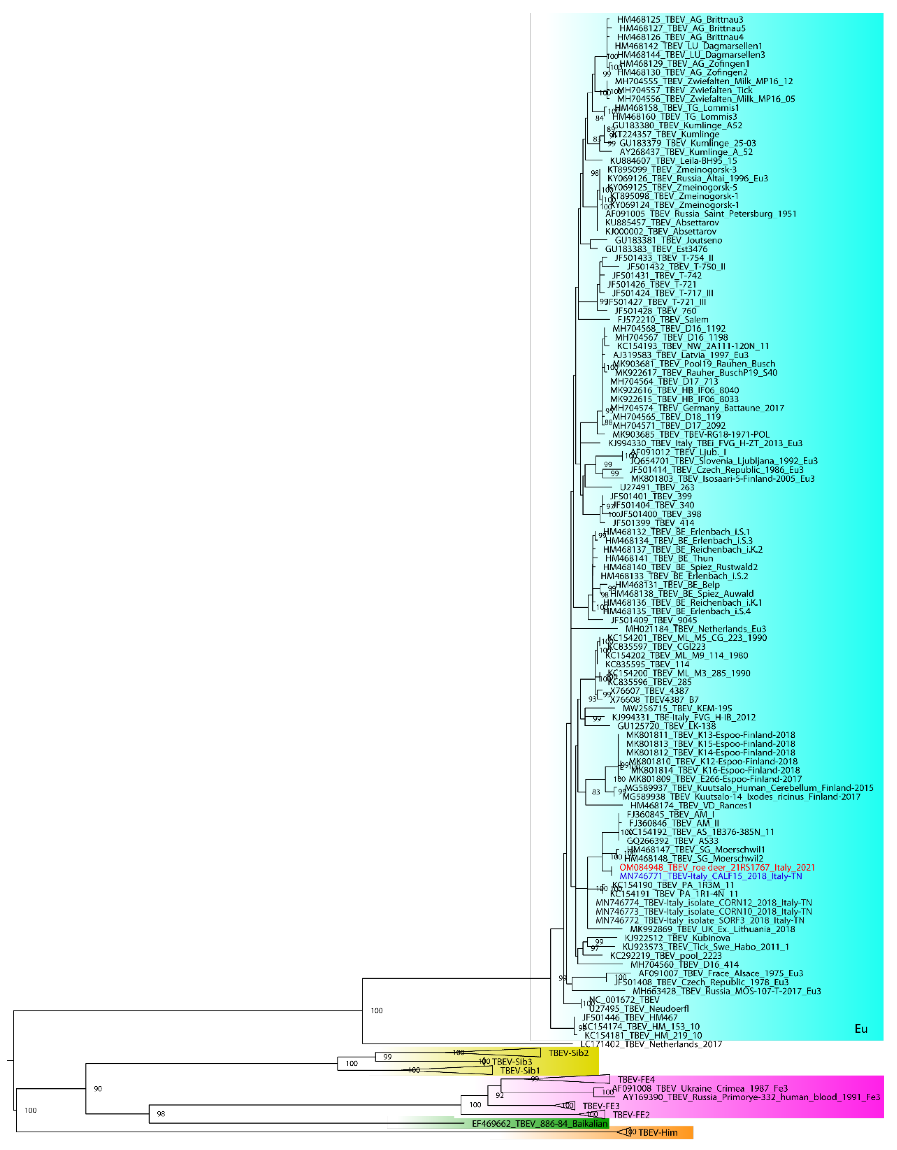 Viruses 14 00300 g001 Viruses 14 00300 g001