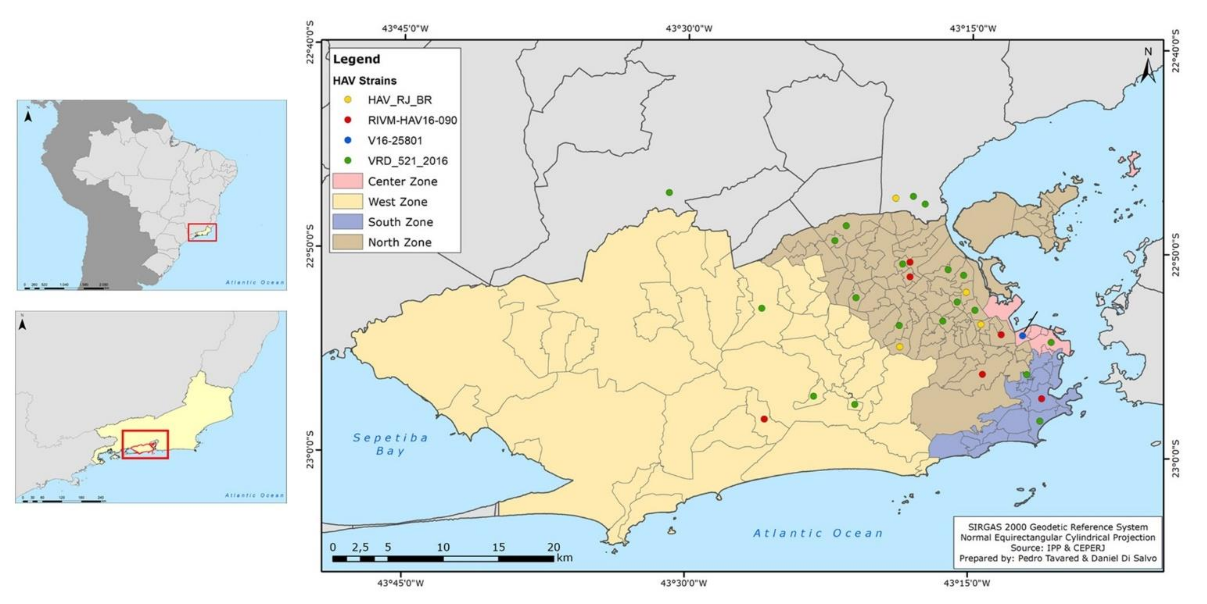 Viruses 14 00303 g005