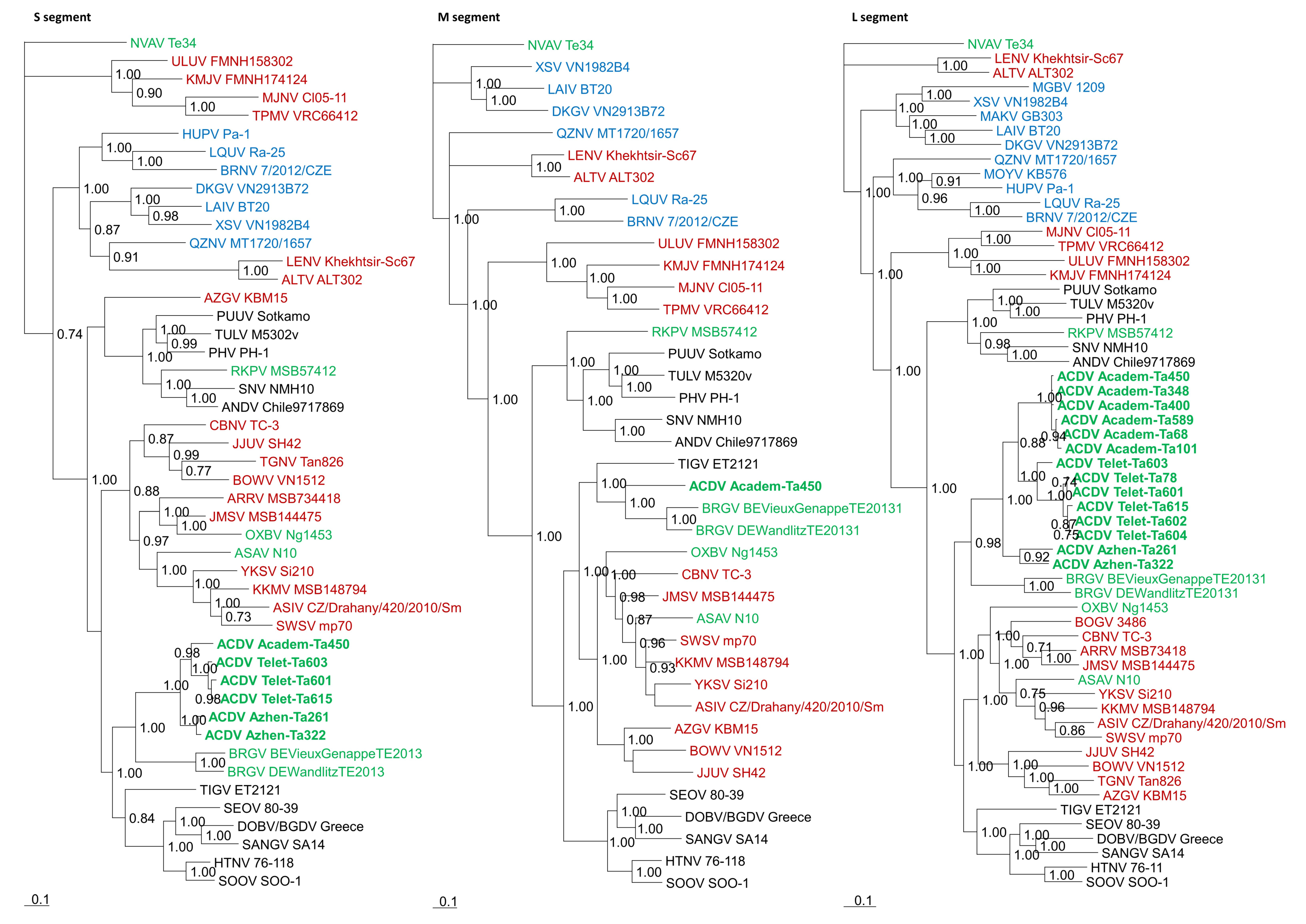 Viruses 14 00309 g002