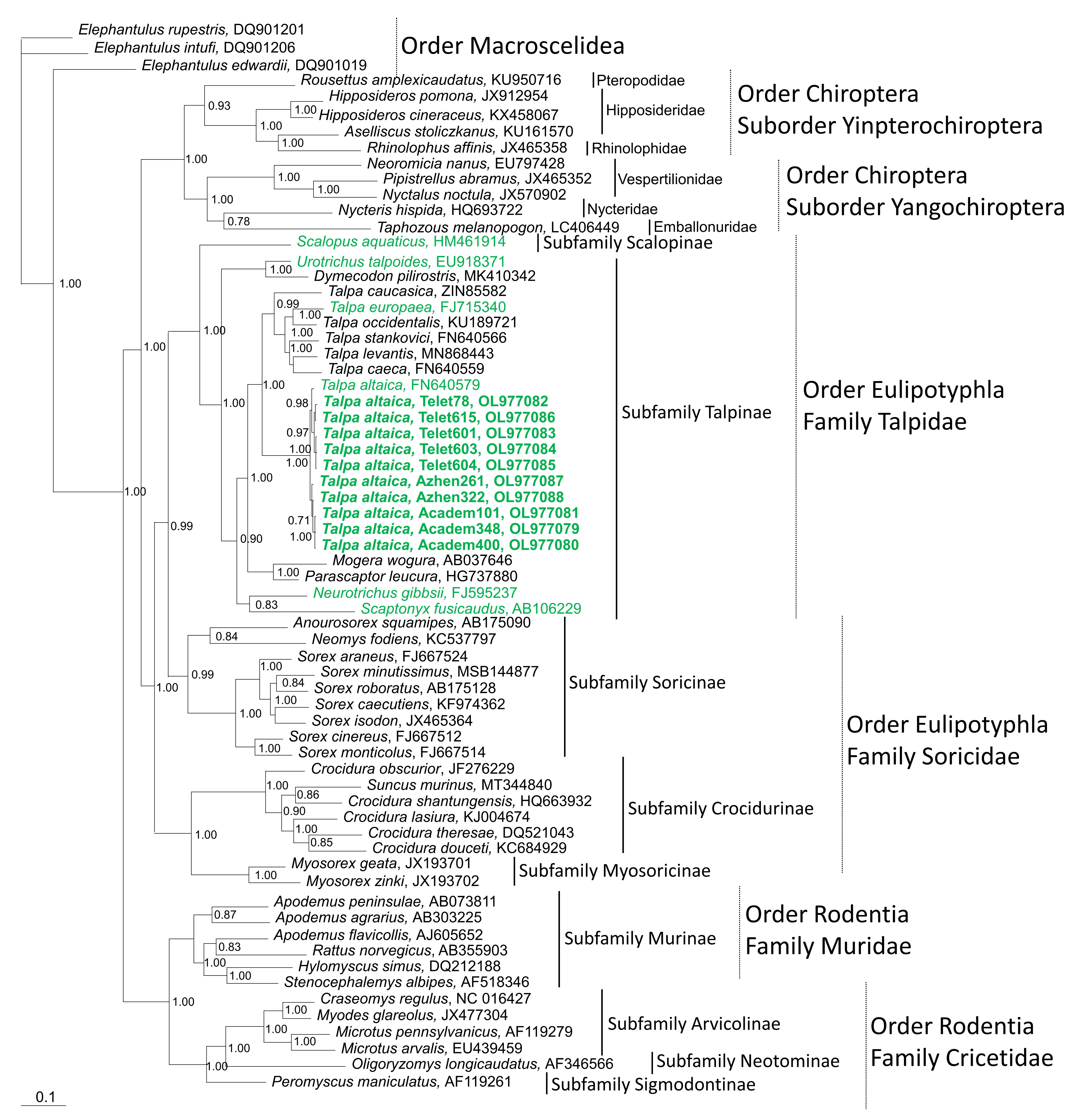 Viruses 14 00309 g003