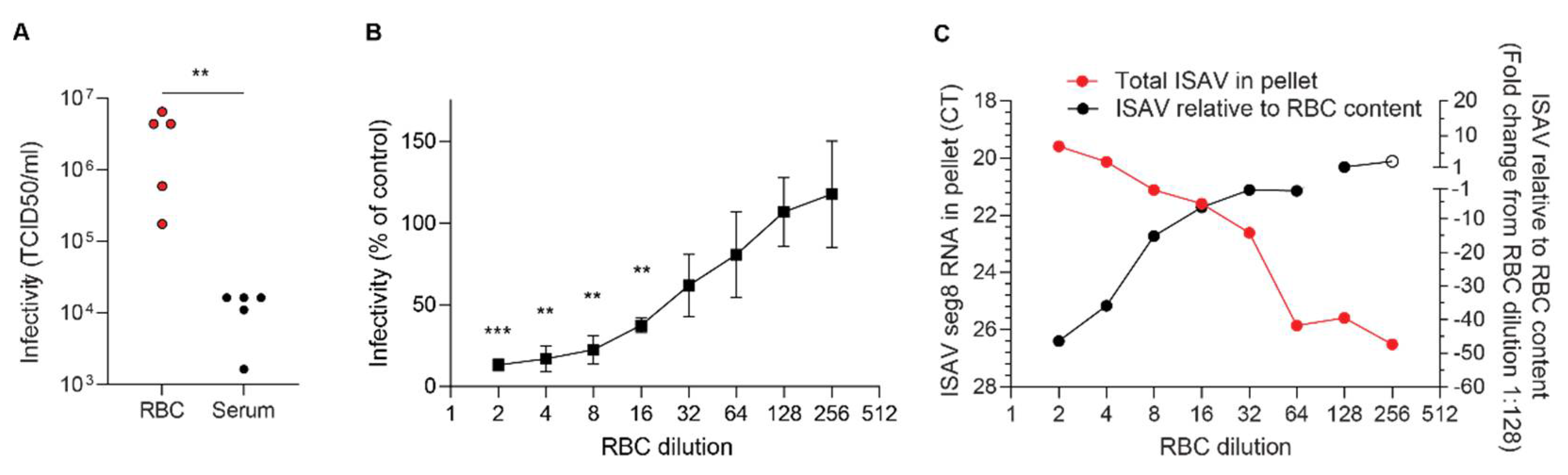 Viruses 14 00310 g007