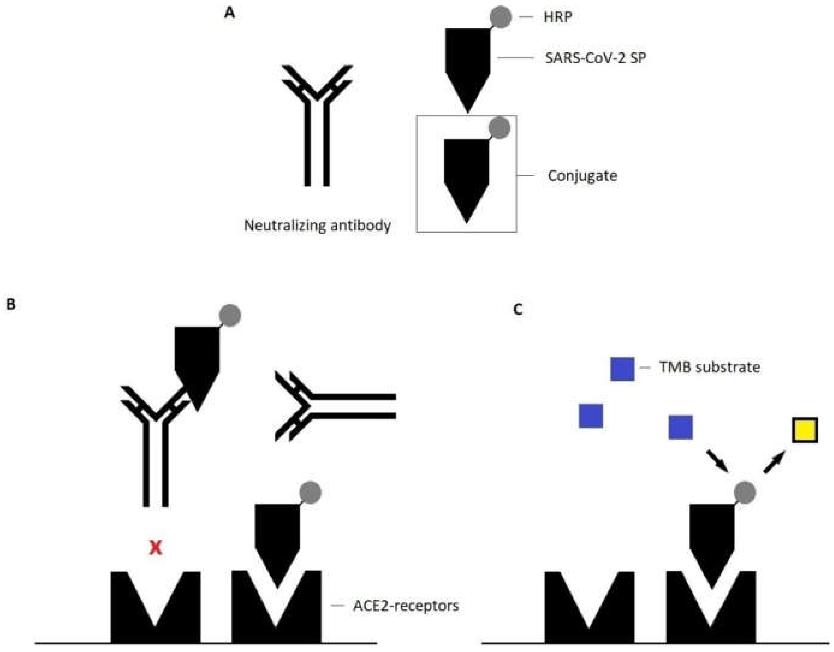 Viruses 14 00315 g002
