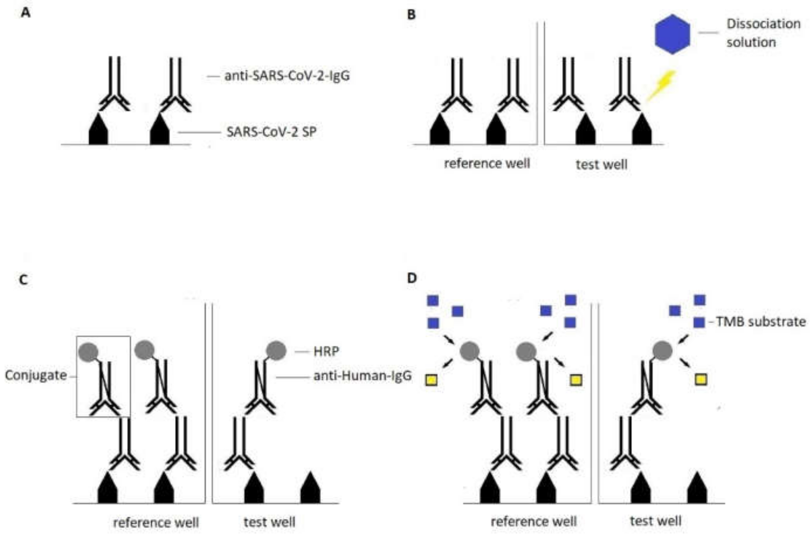 Viruses 14 00315 g003