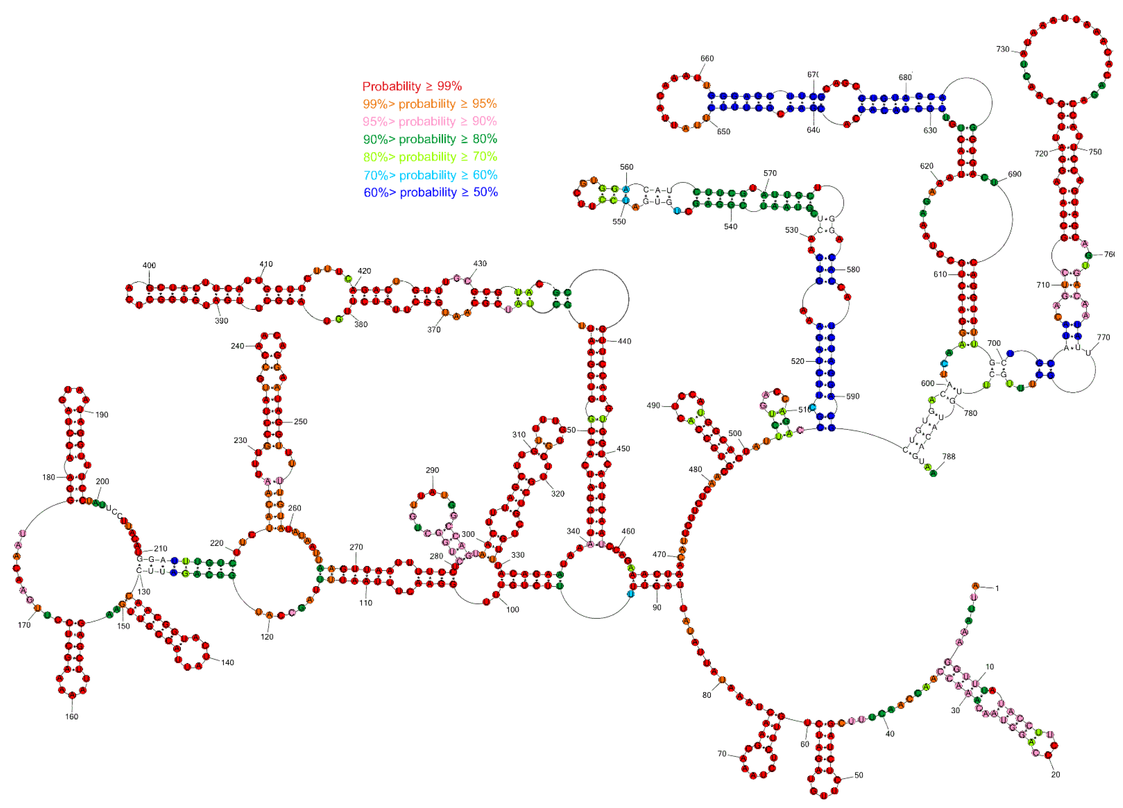 Viruses 14 00322 g001