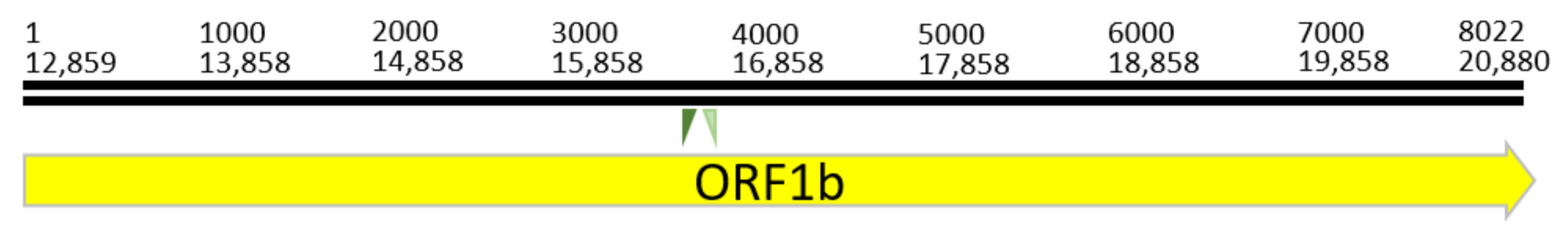 Viruses 14 00337 g001