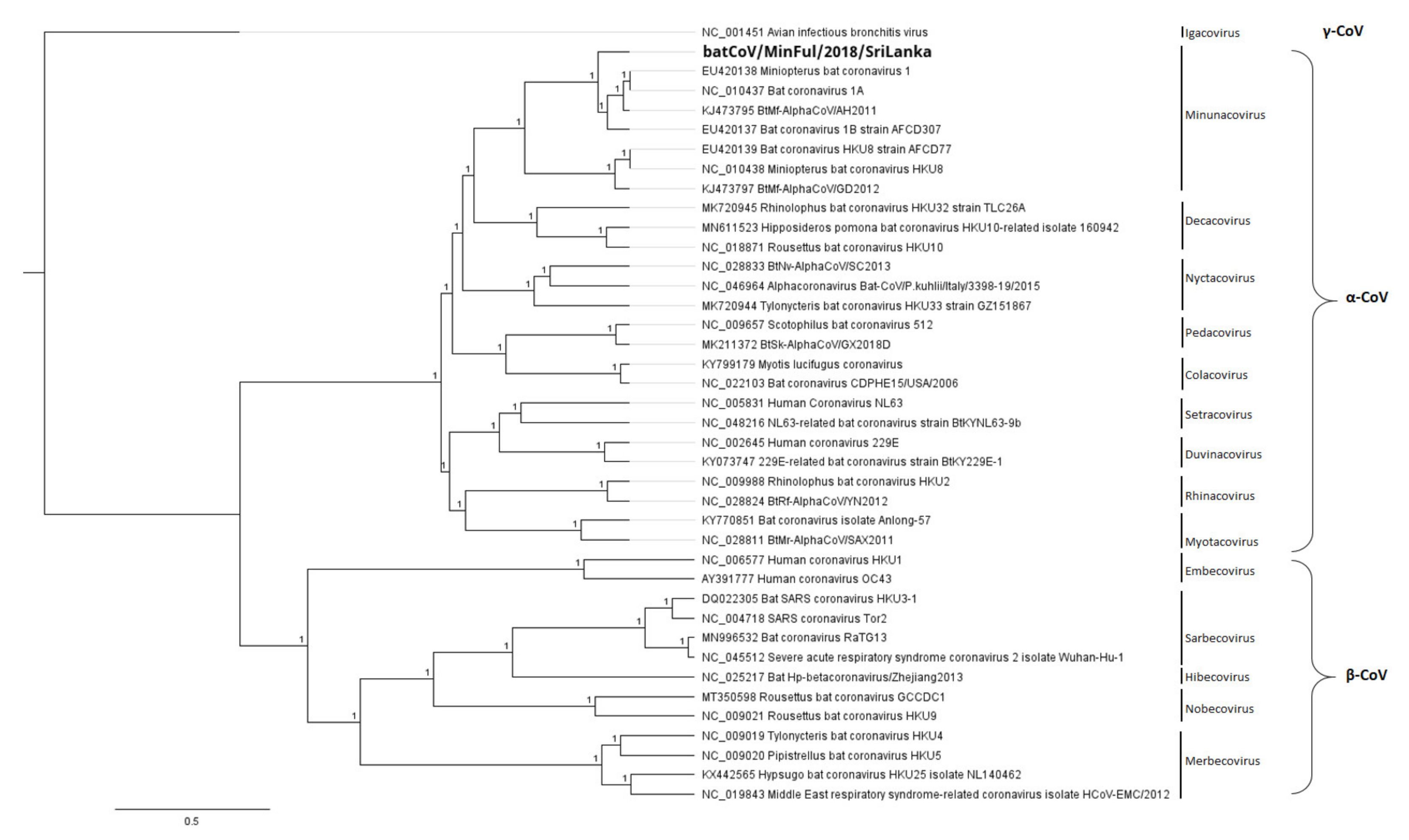 Viruses 14 00337 g003