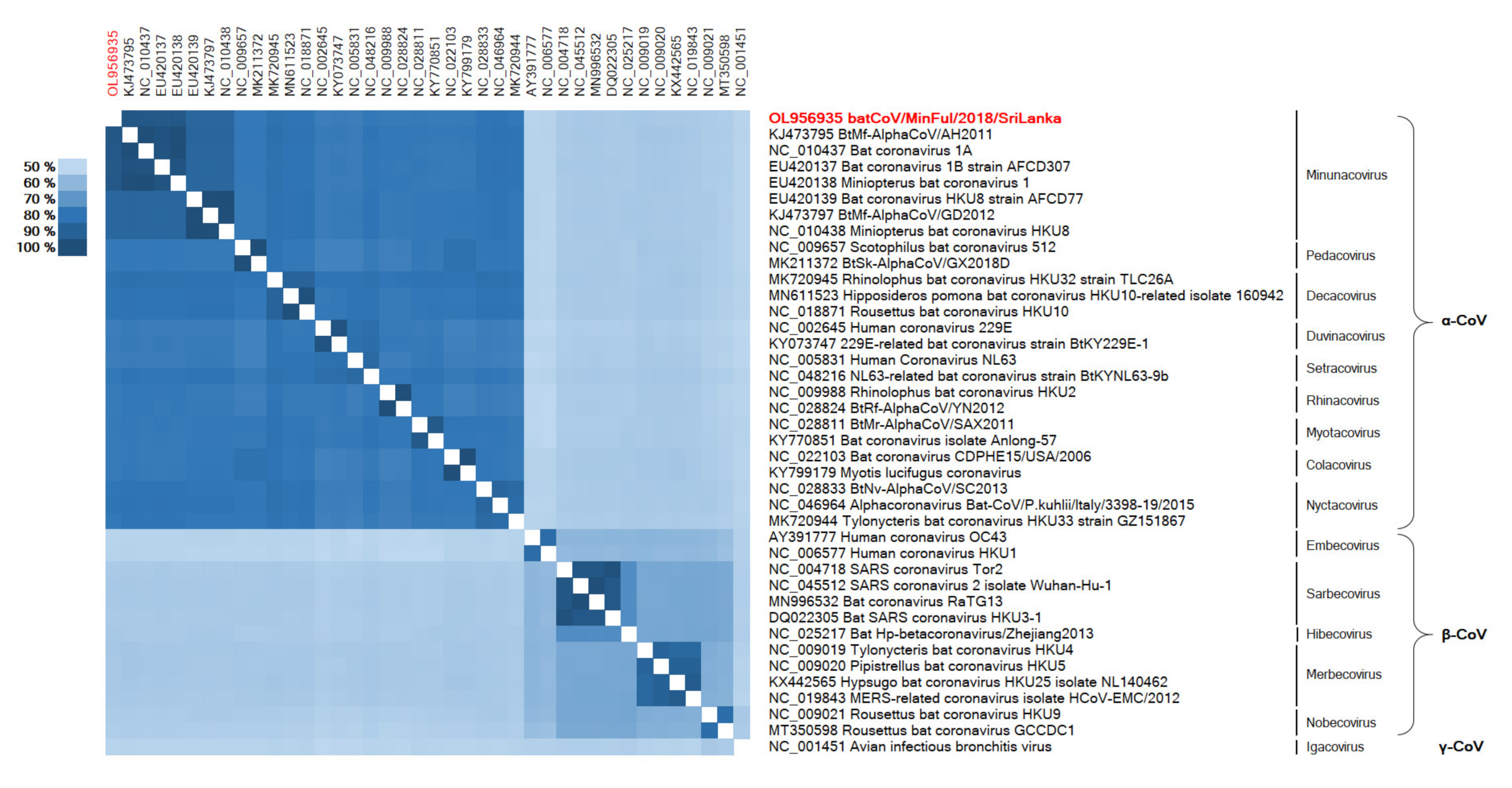 Viruses 14 00337 g005