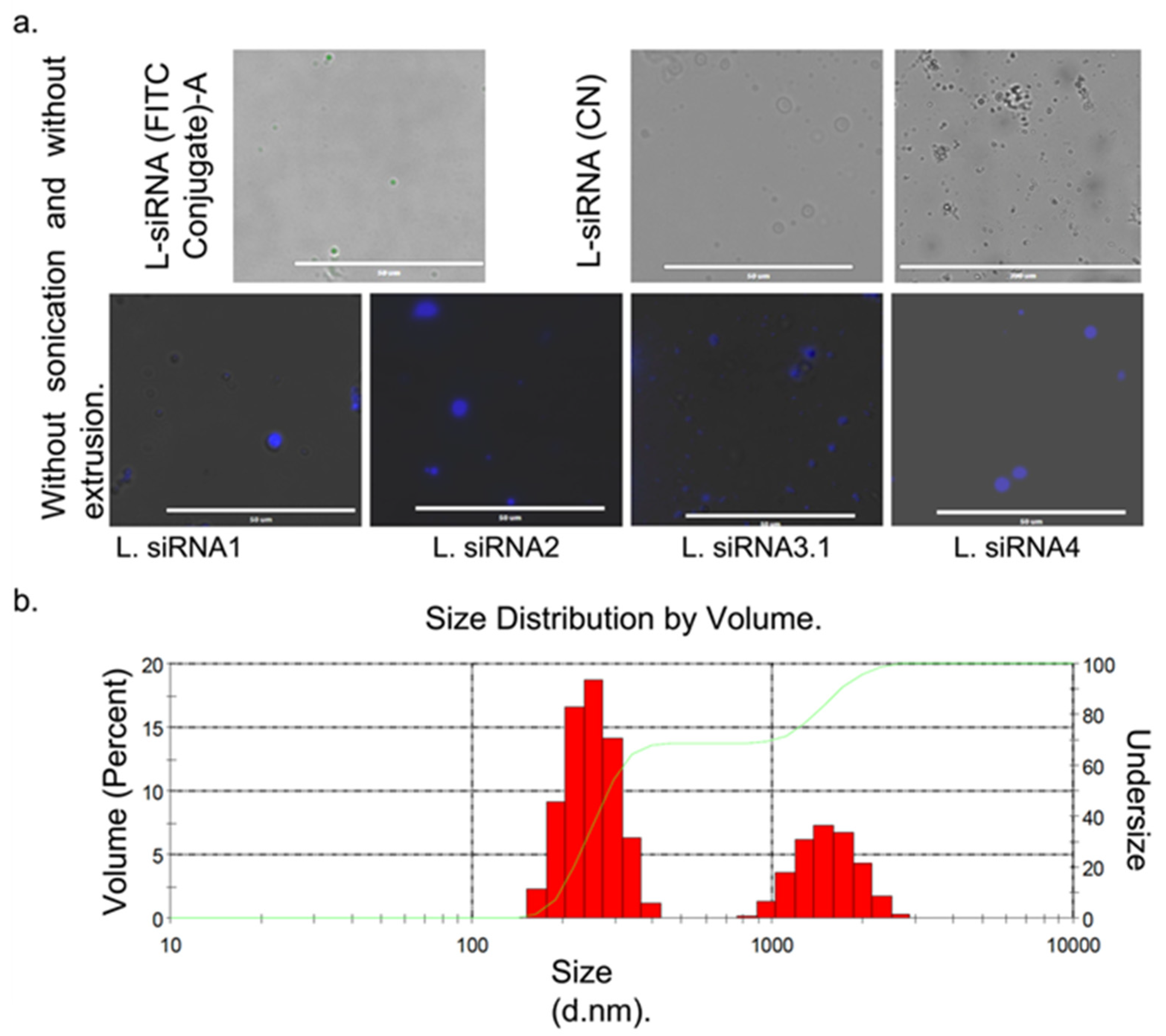 Viruses 14 00339 g002 Viruses 14 00339 g002