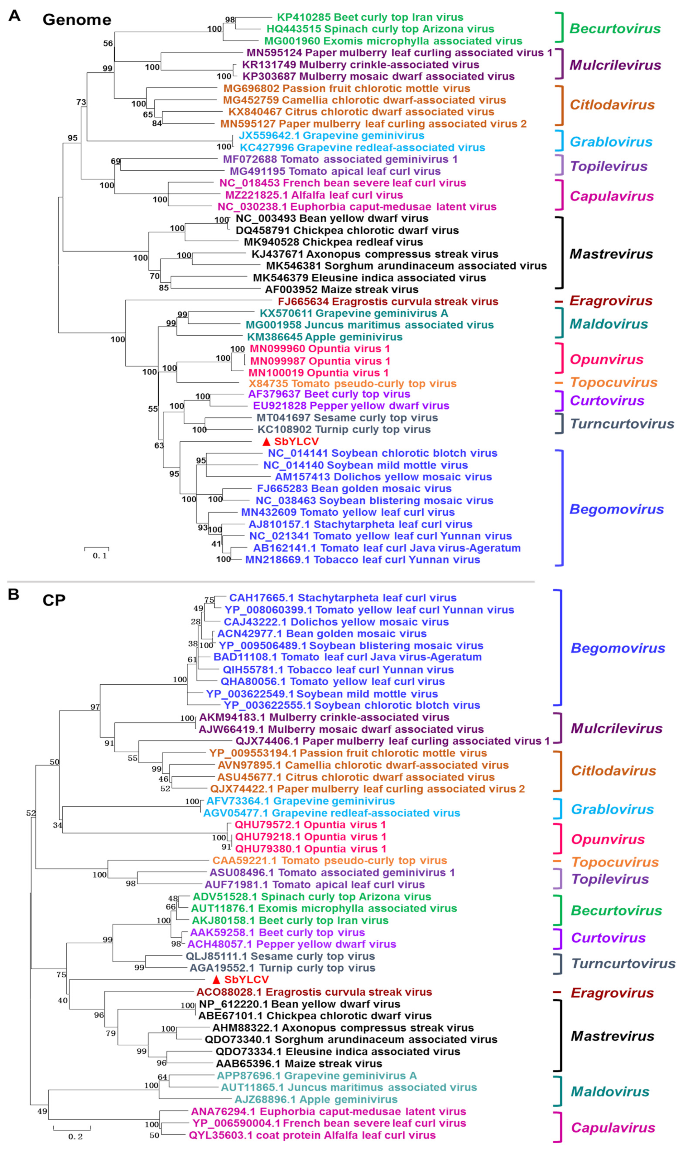 Viruses 14 00341 g003