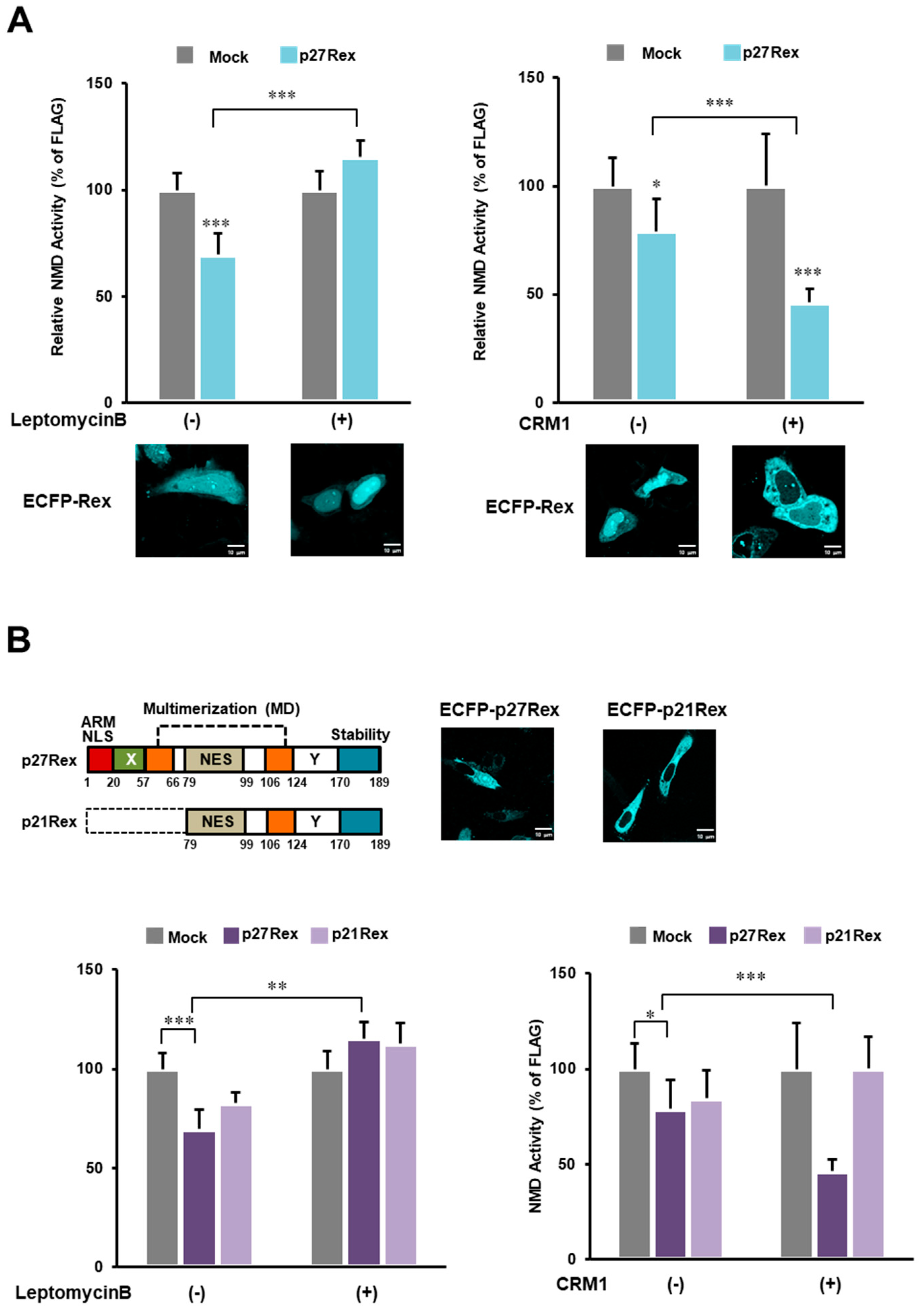 Viruses 14 00344 g004