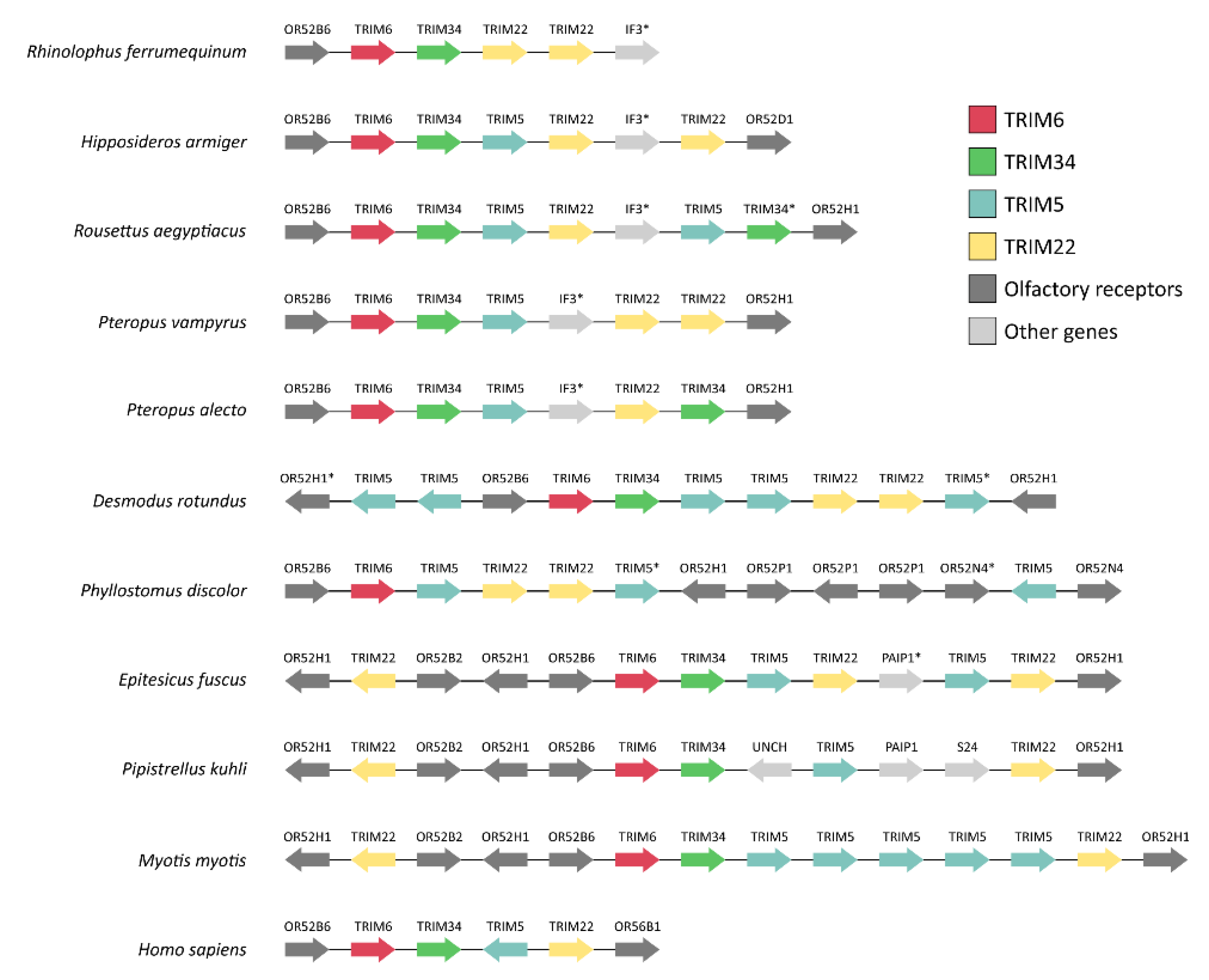Viruses 14 00345 g004