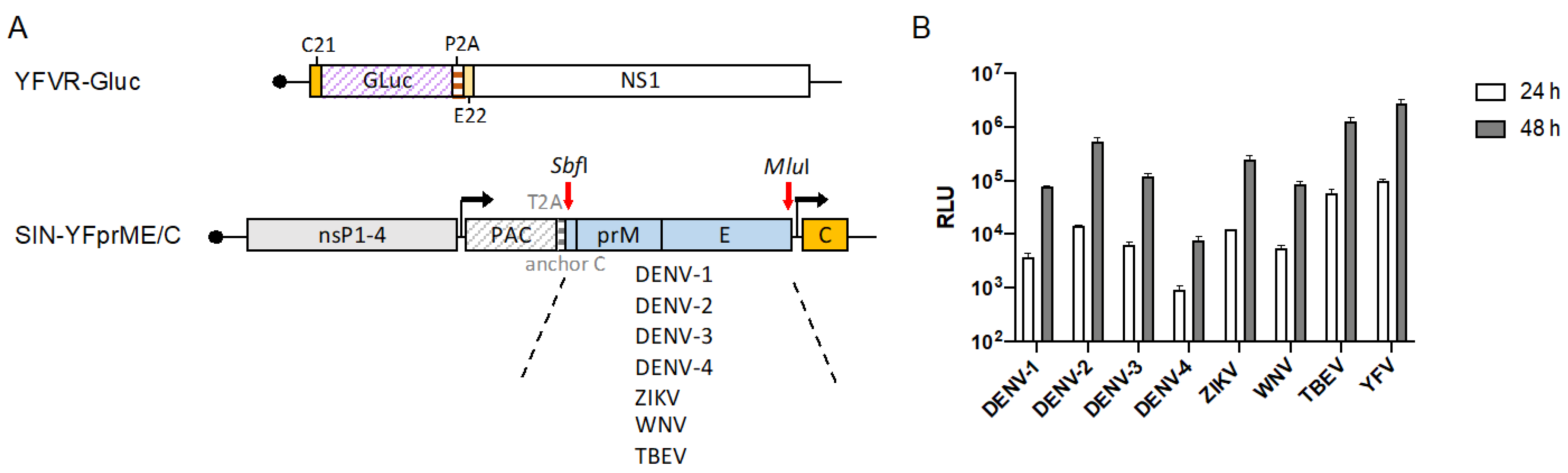 Viruses 14 00346 g004