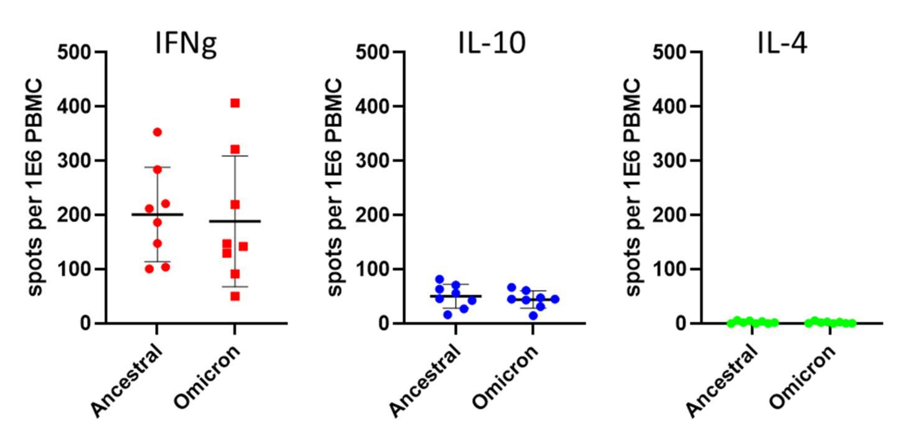 Viruses 14 00347 g002