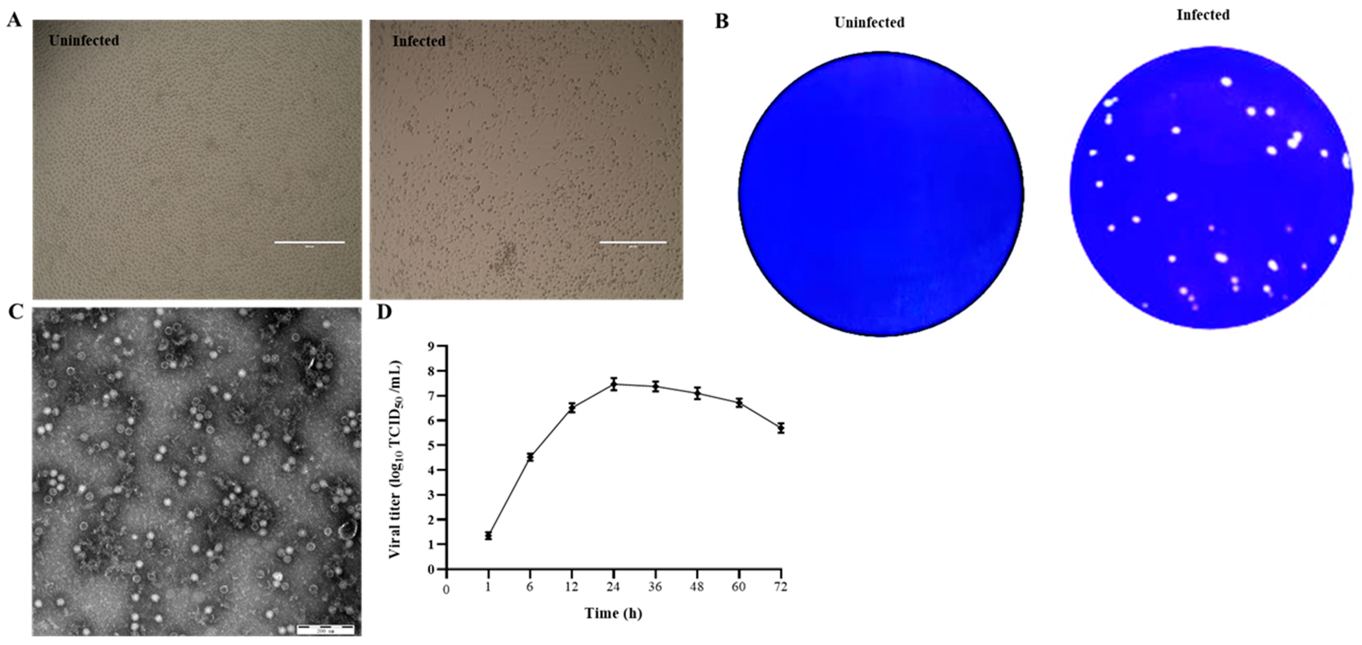 Viruses 14 00349 g001