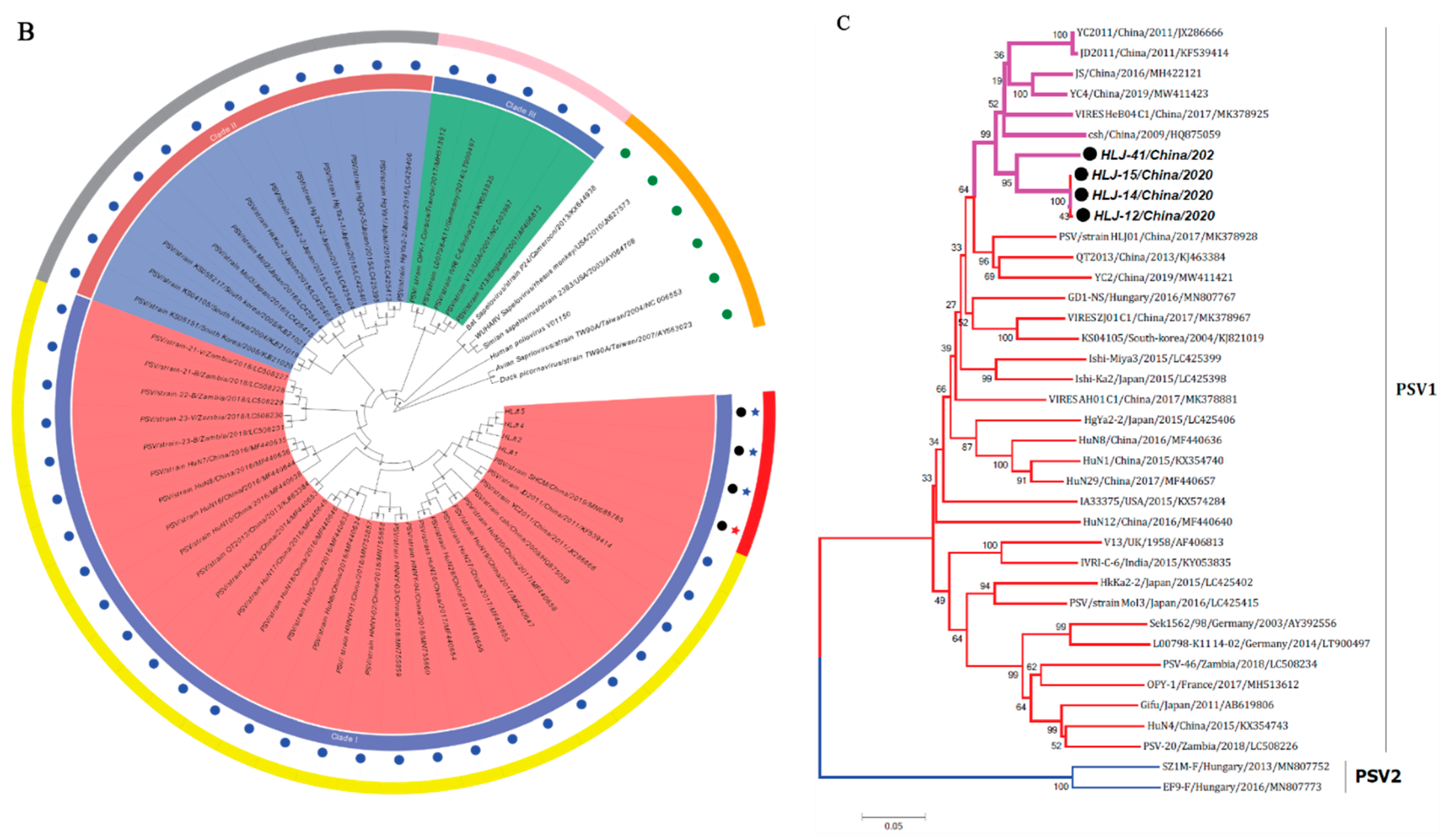 Viruses 14 00349 g002b
