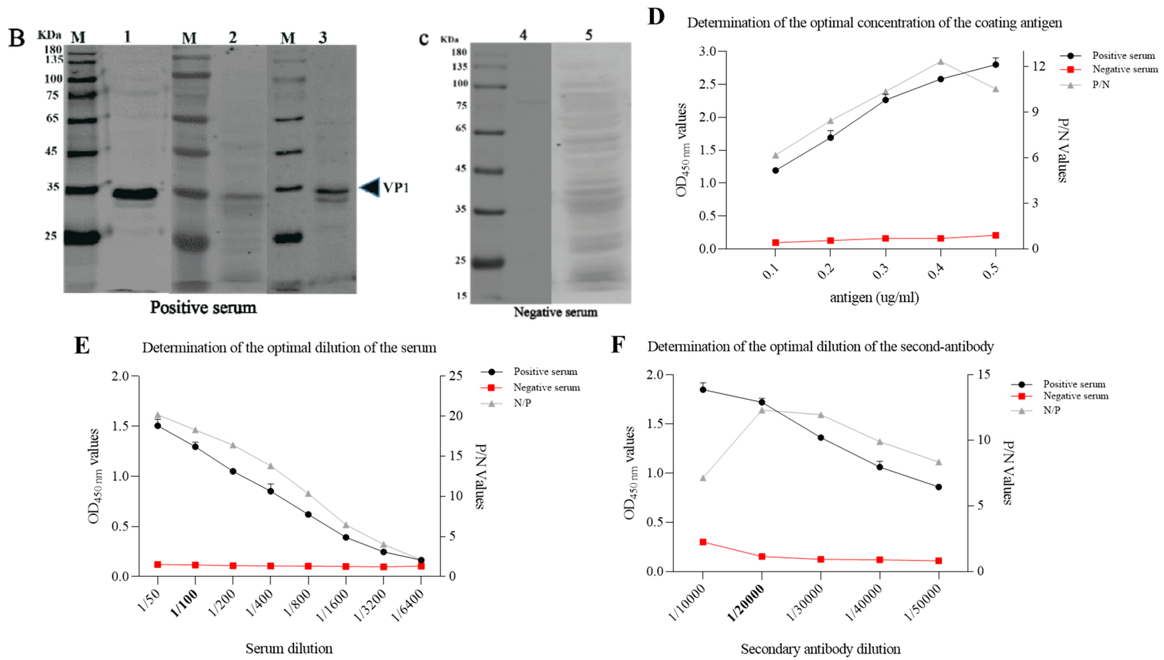 Viruses 14 00349 g006b