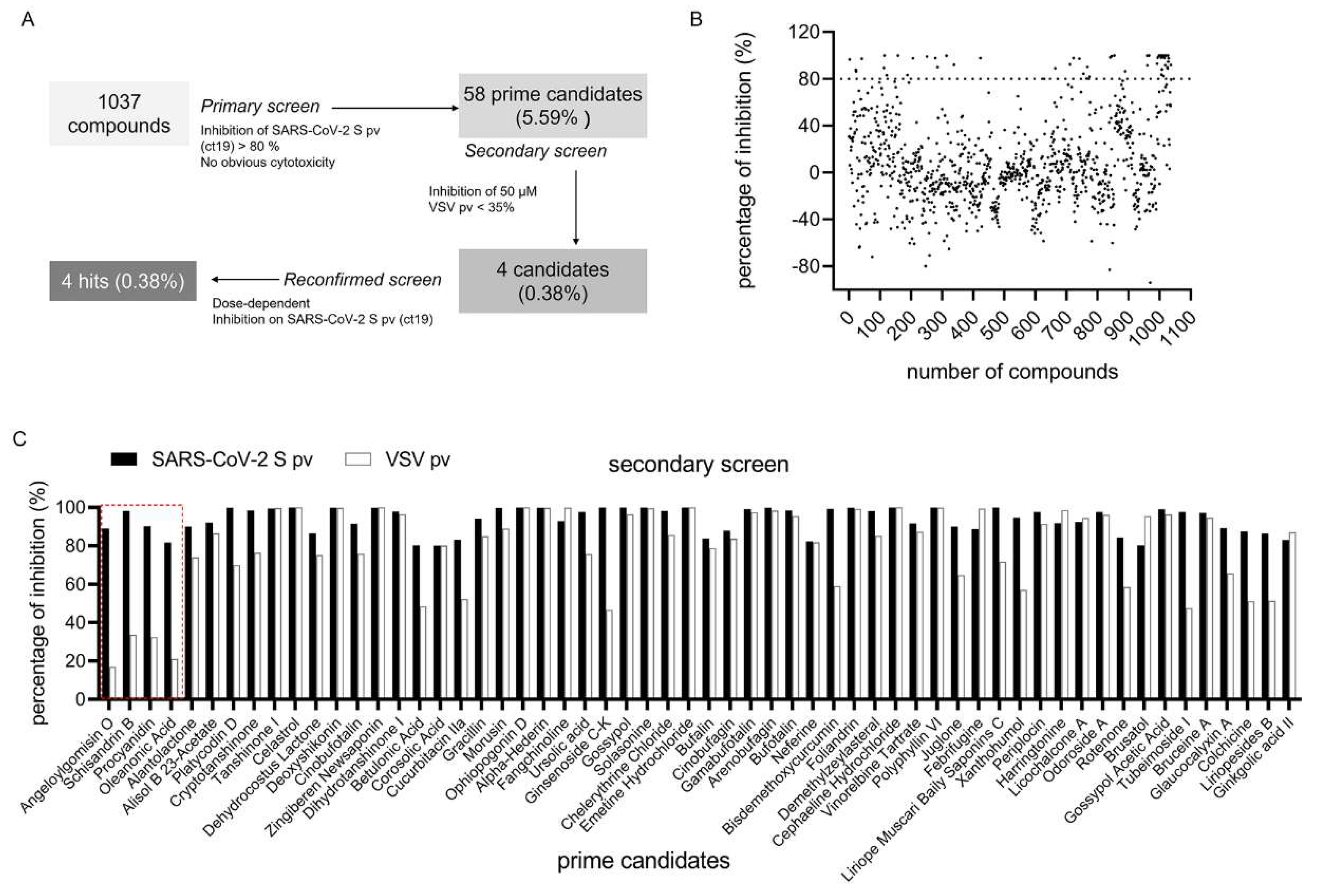 Viruses 14 00353 g002